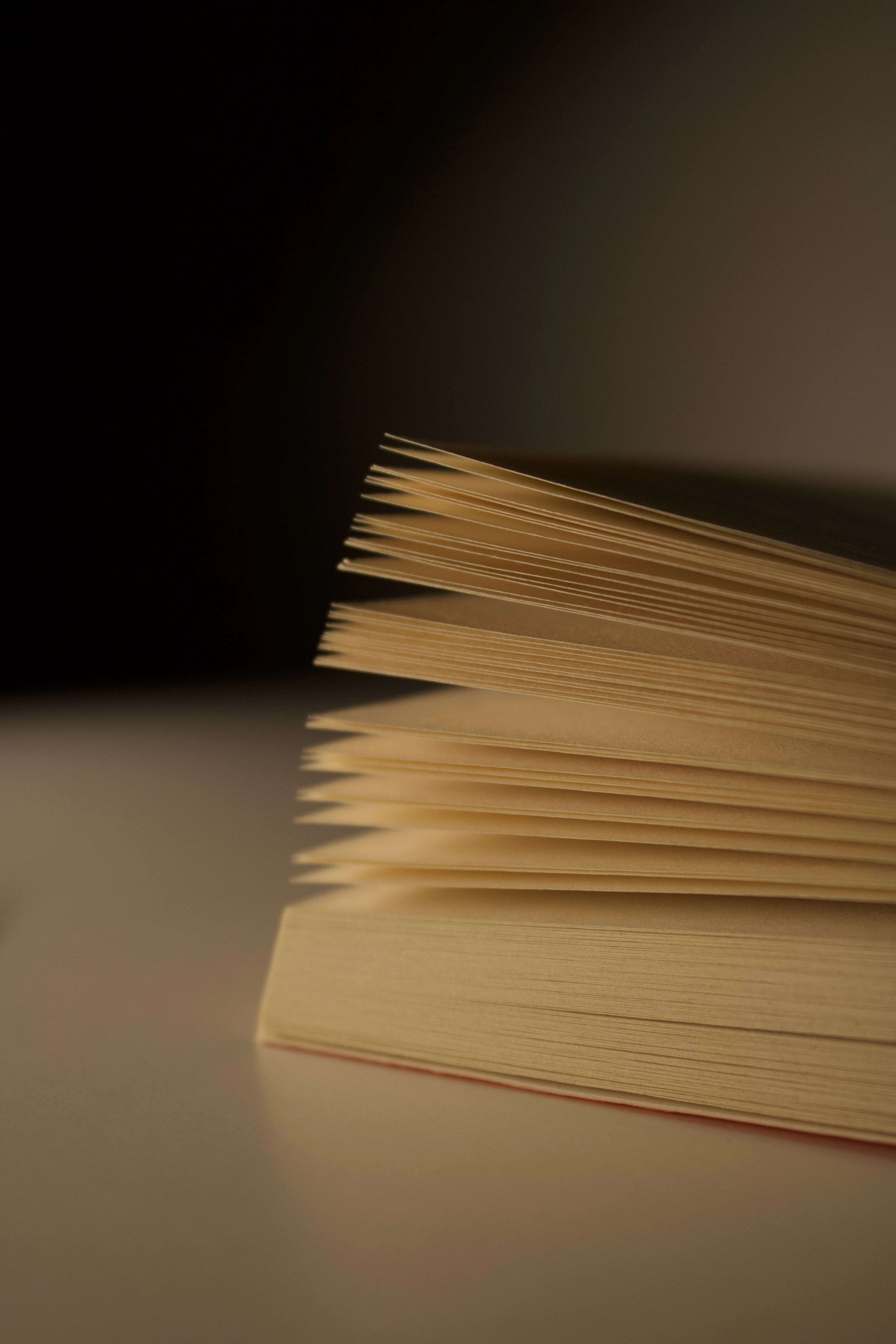 Close view of the edges of pages in an open book
