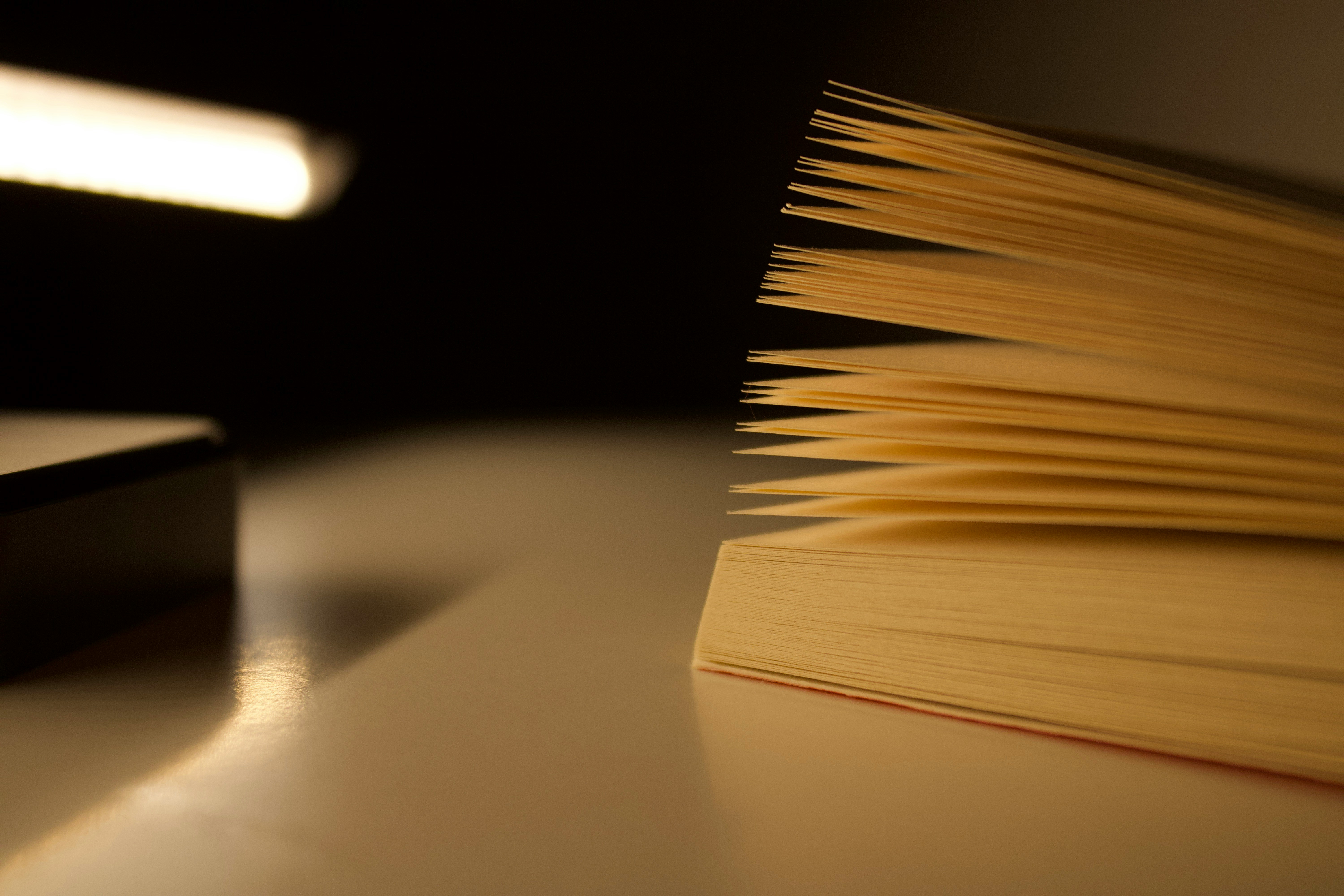 Translated Without Permission: The Shadow Network Bringing Banned Books to Your Language