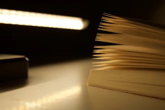 Open book with pages illuminated by light.
