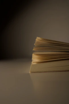 An open book with pages fanned out