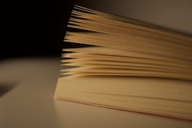 Close-up of an open book with yellowed pages.