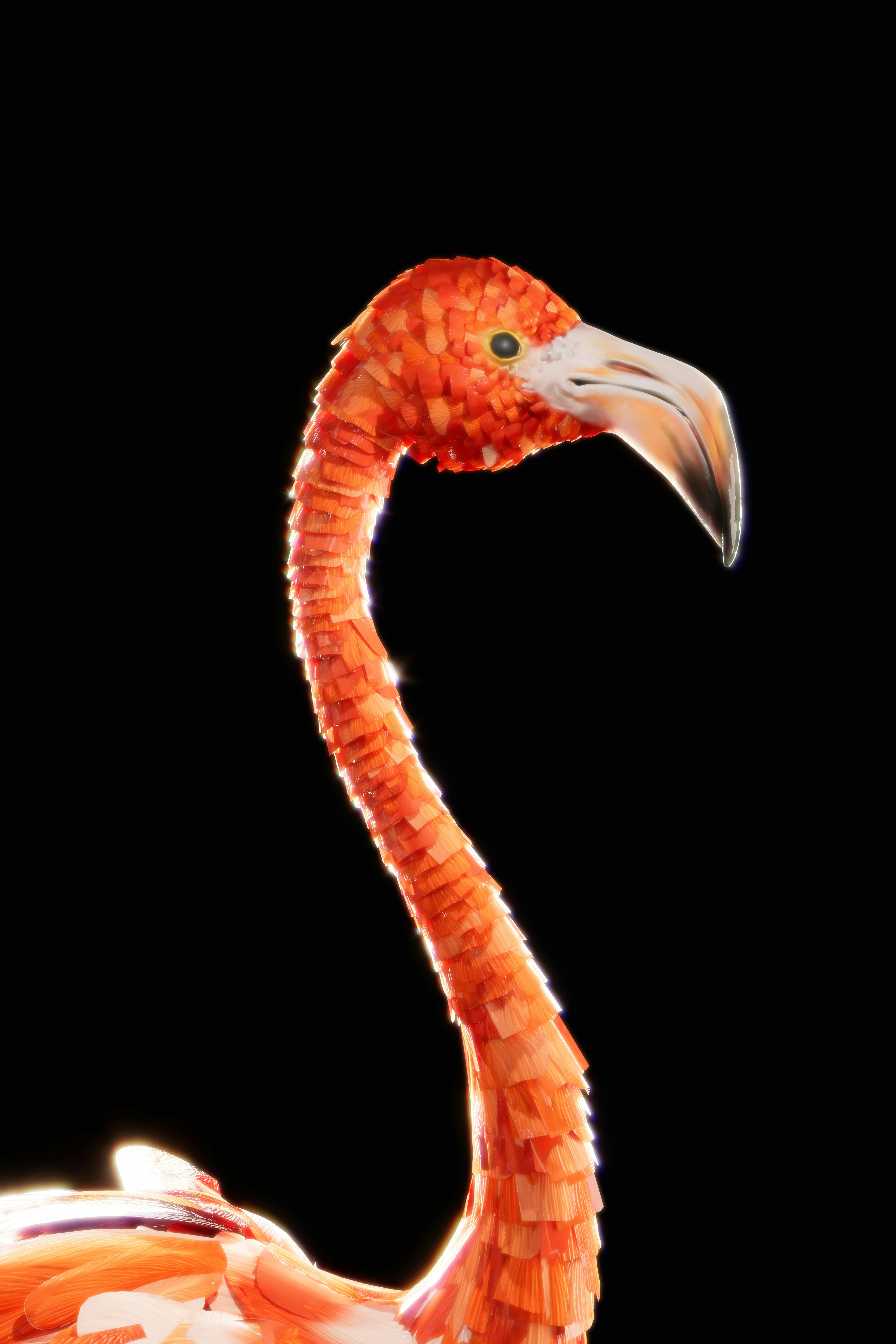 Gros plan de la tête et du cou d’un flamant rose vif.