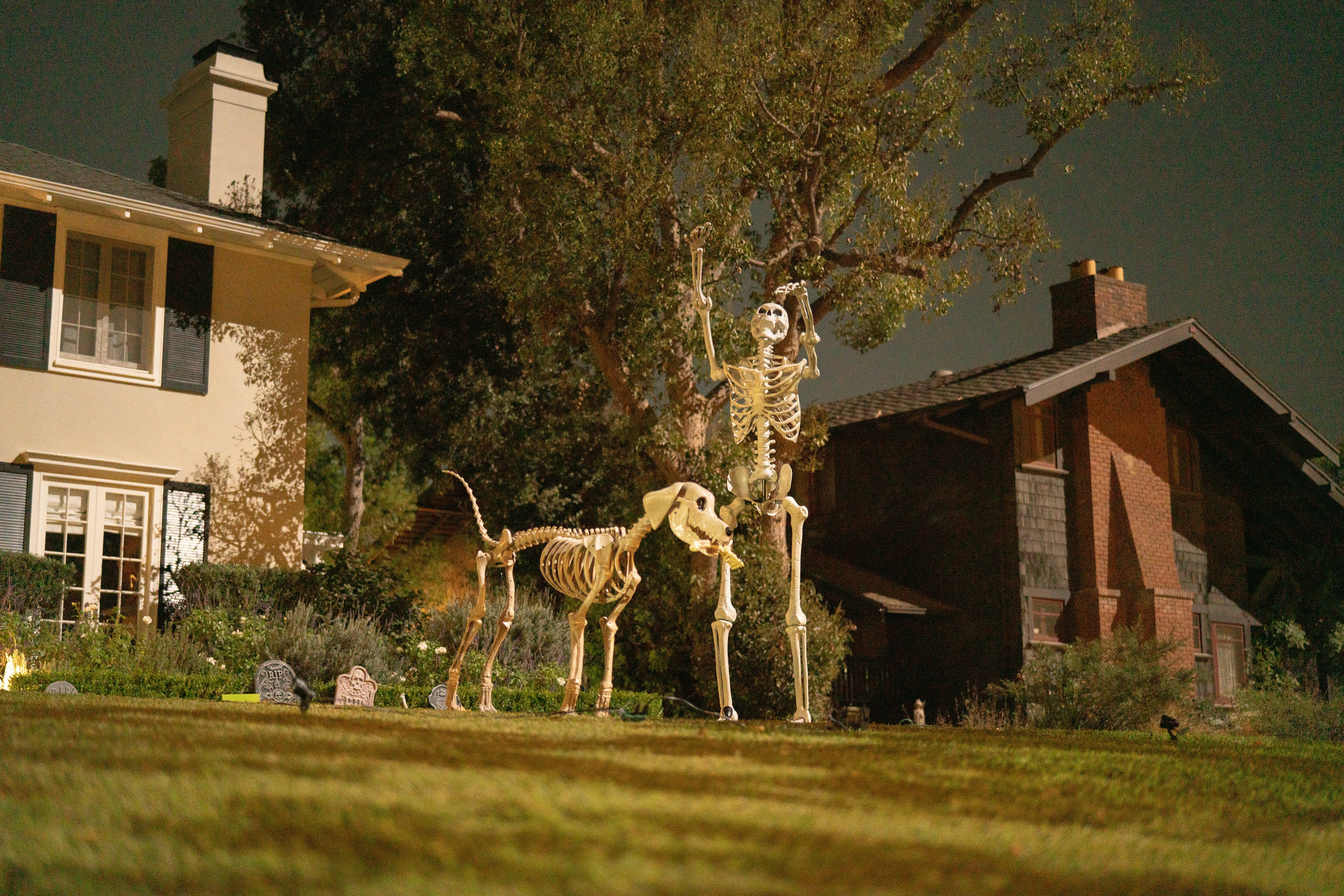 Figuras de esqueleto de uma pessoa e de um cão na jarda