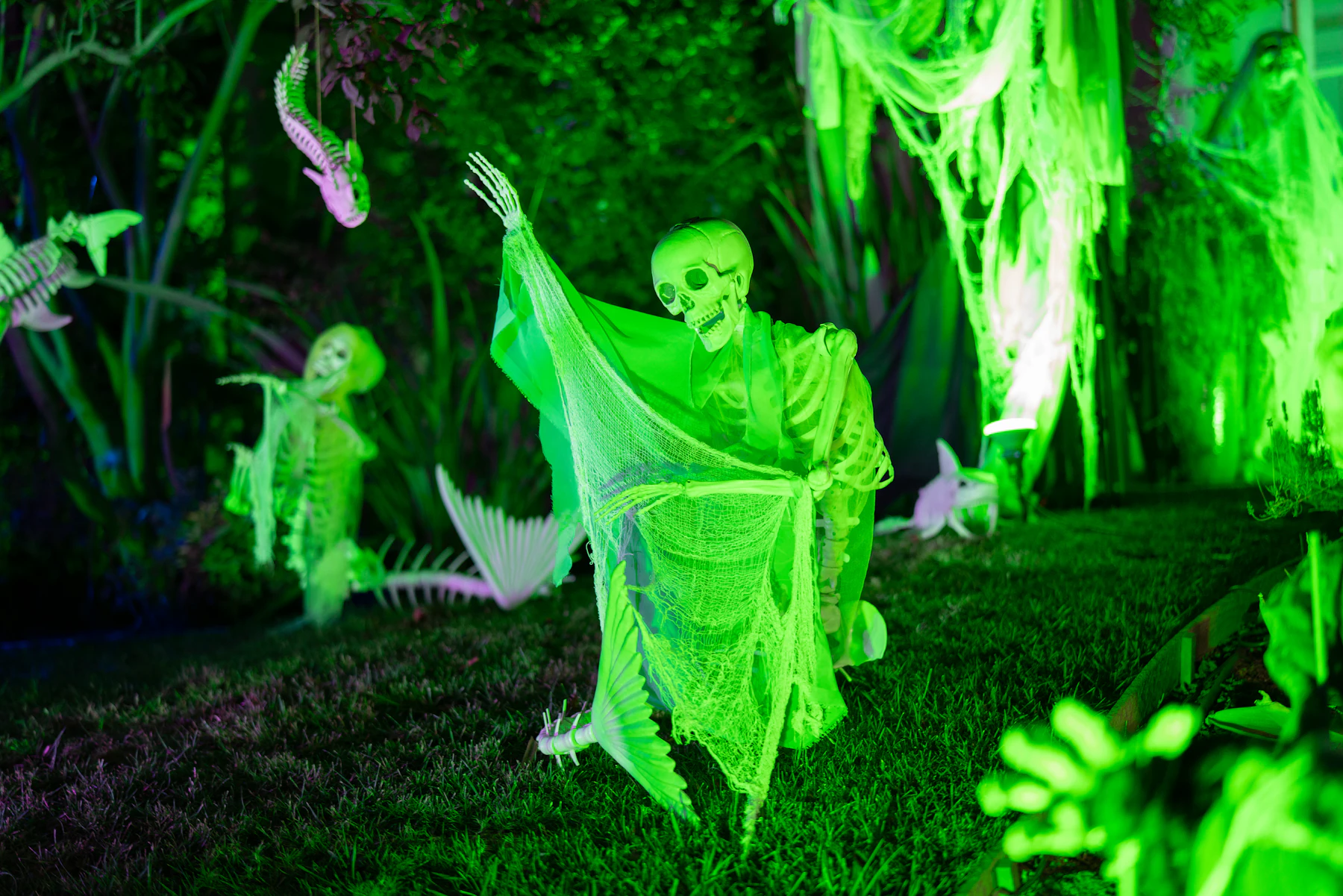 Illuminated skeleton Halloween yard decorations glowing green at night