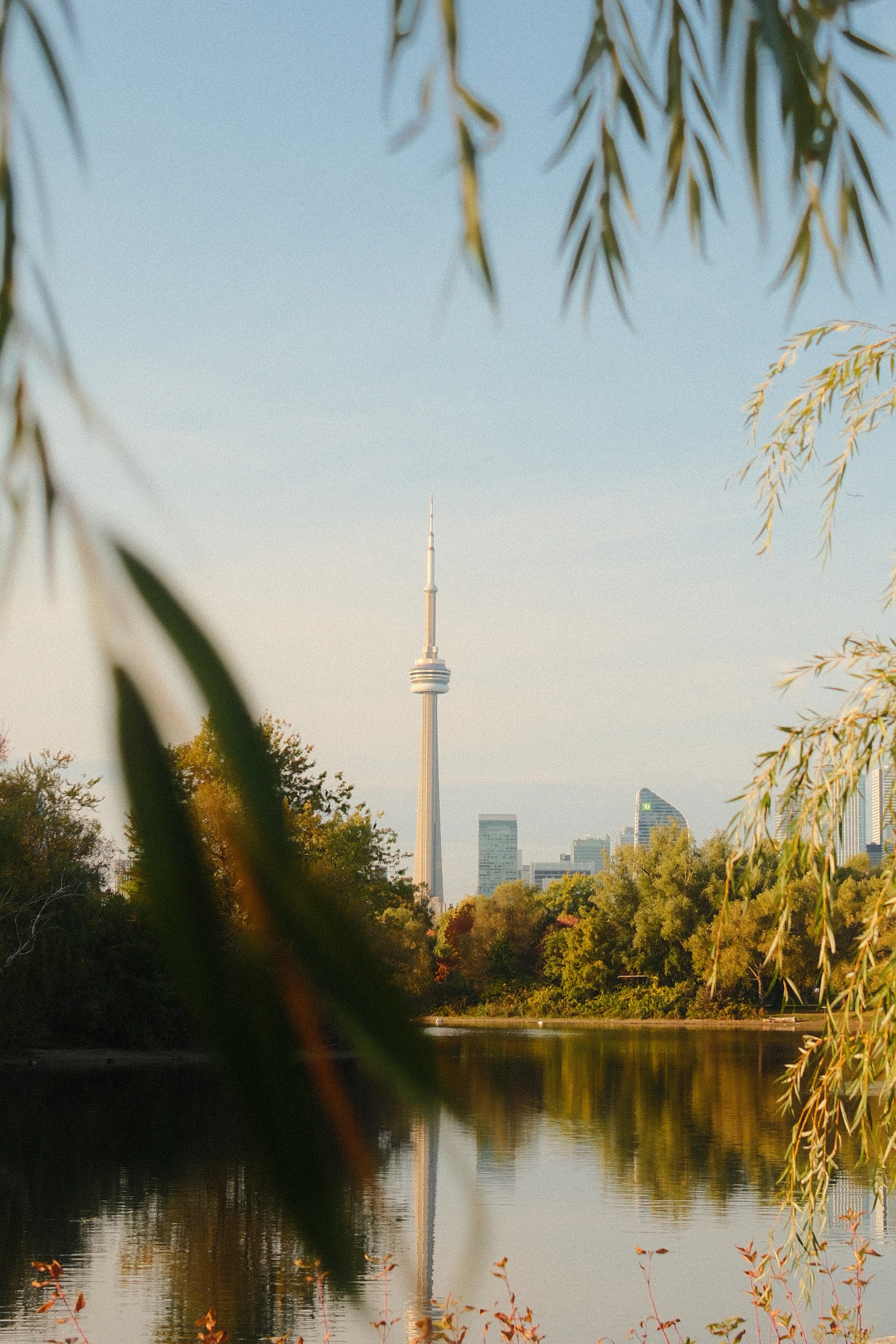 Toronto skyline and CN Tower reflected across the water from Ward's Island in autumn