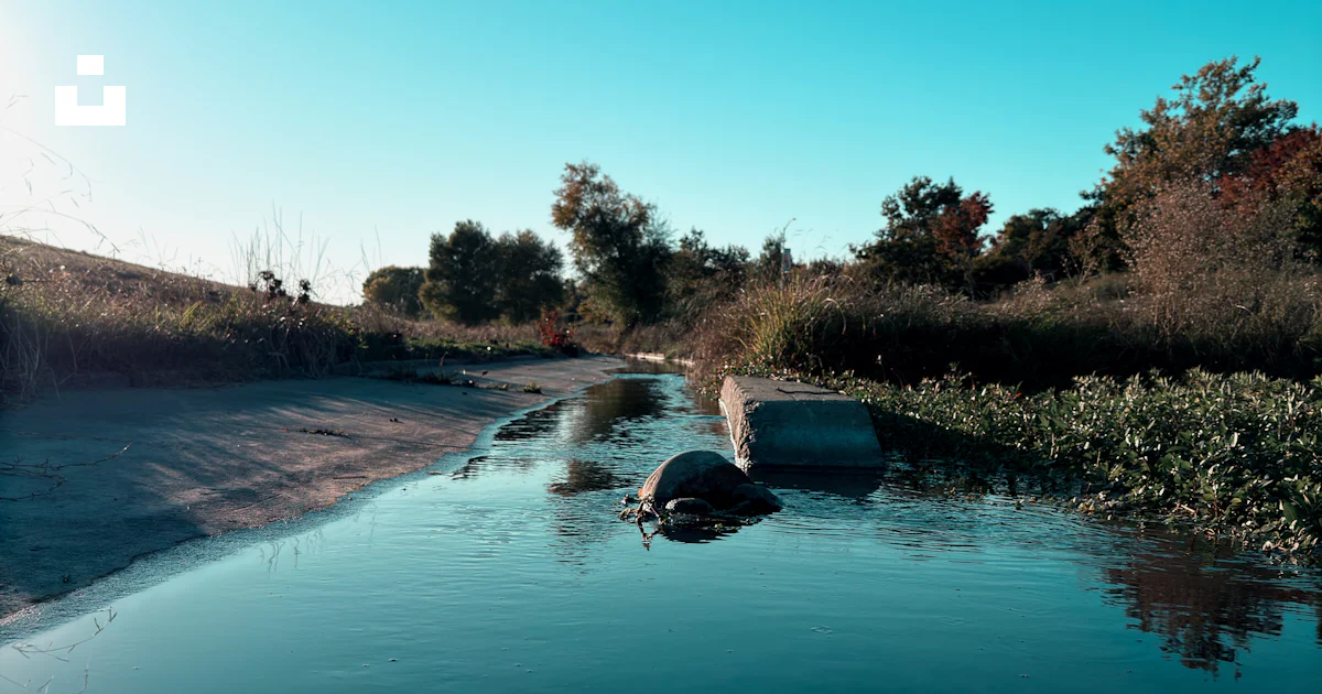 A clear blue sky over a reflective stream. photo – Free Spring Image on ...