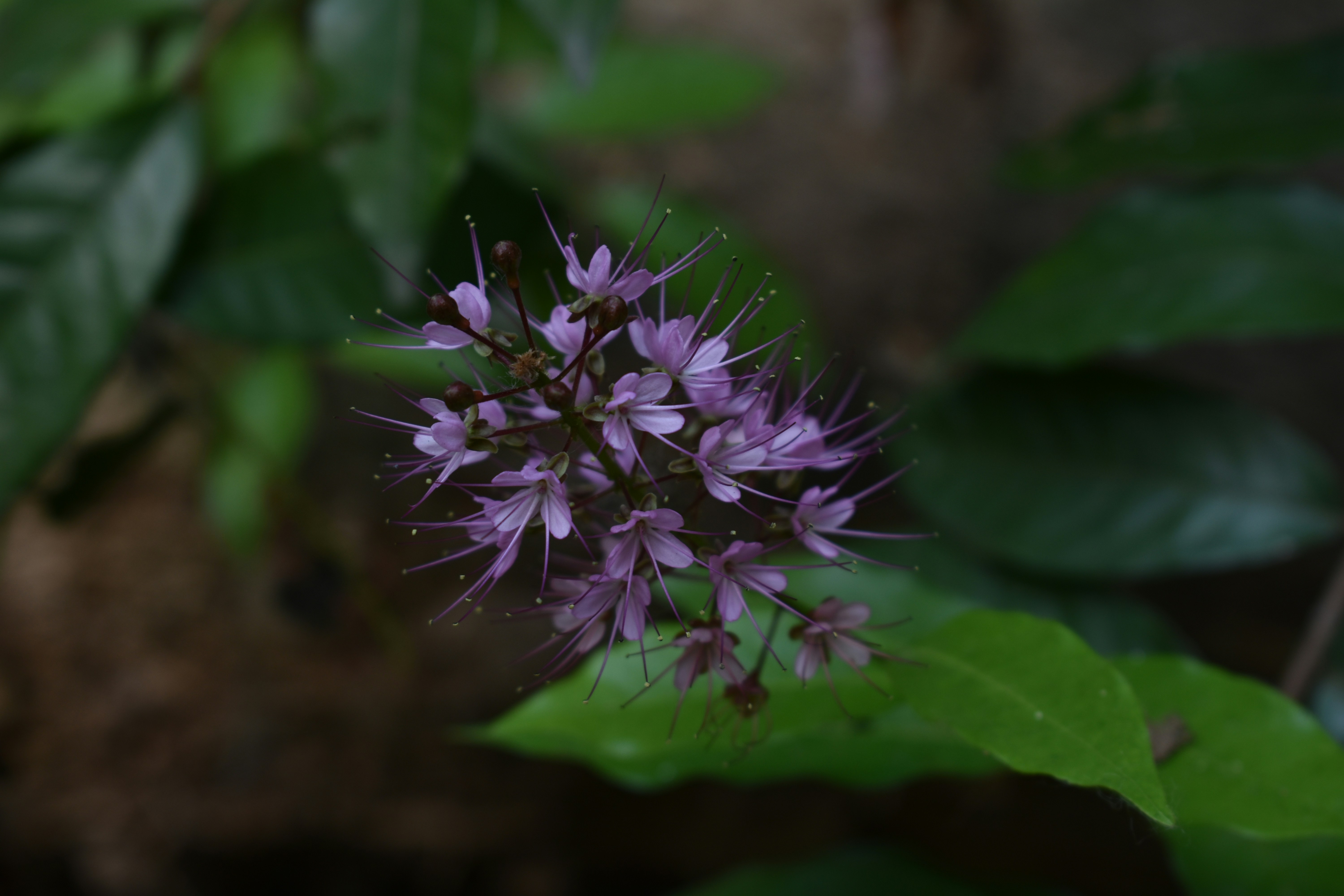 Photo by tulip_sunflower