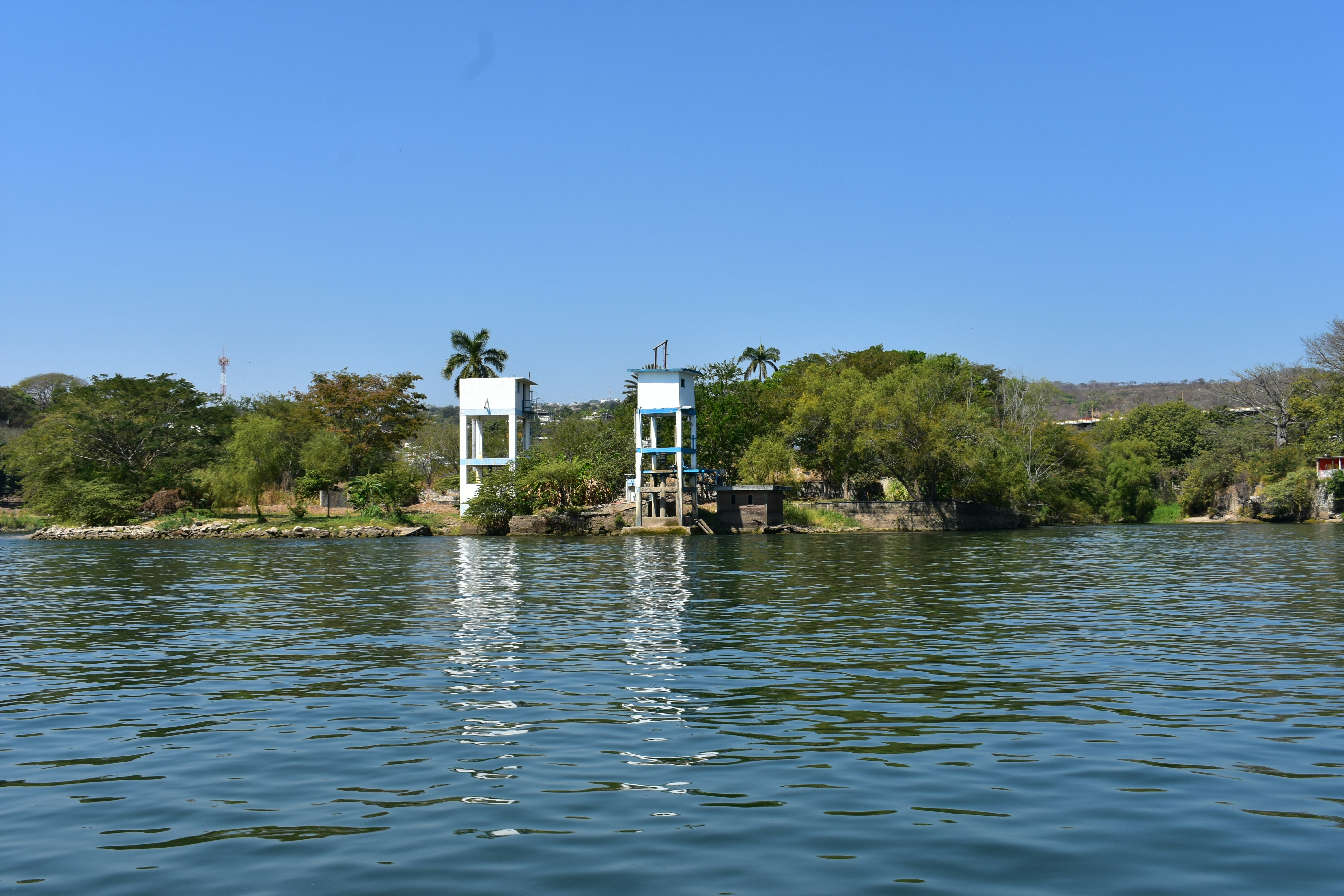 Photo by tulip_sunflower