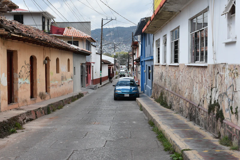 Calle del domicilio