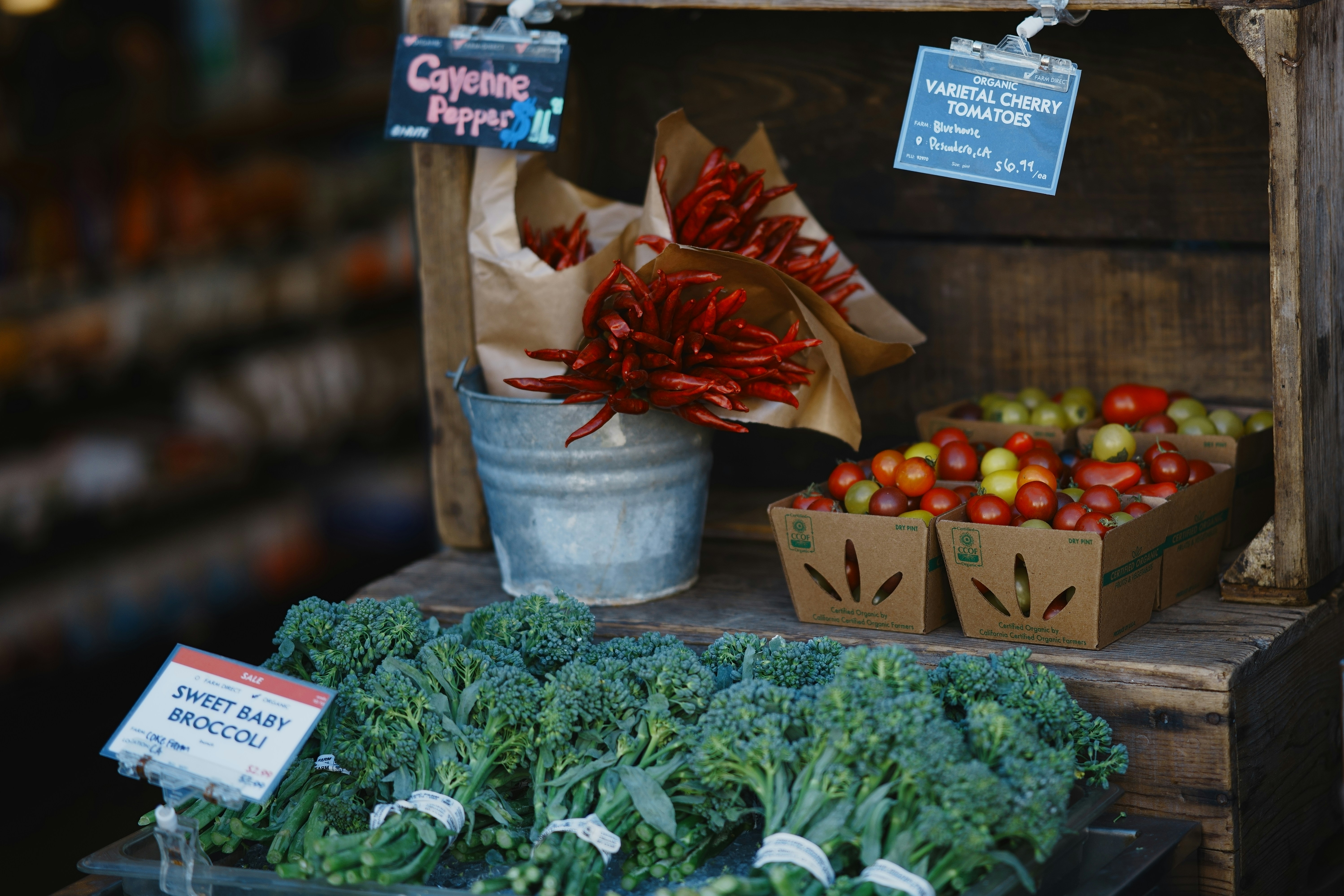 Photo by jincheng_1999