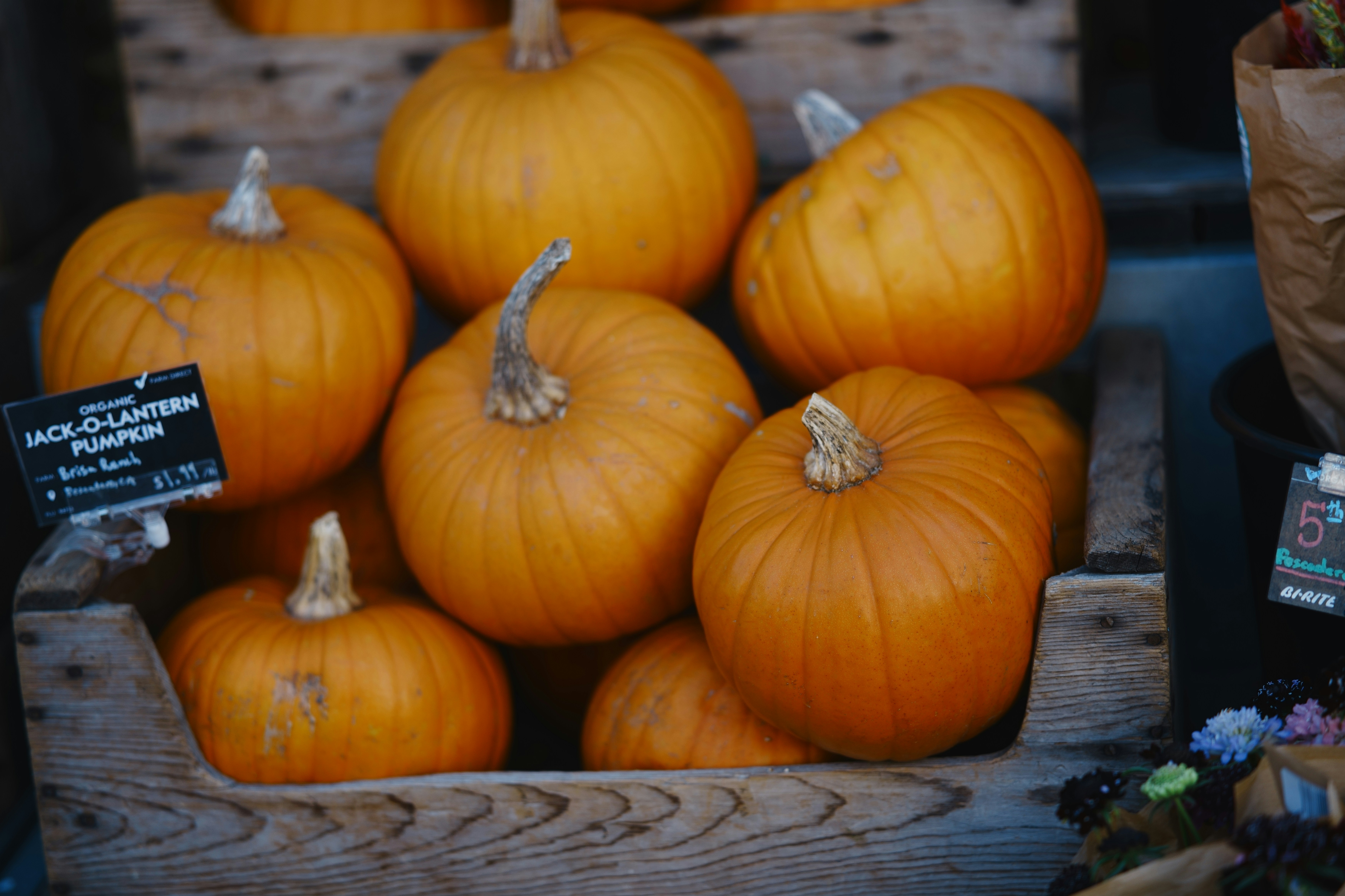 Photo by jincheng_1999