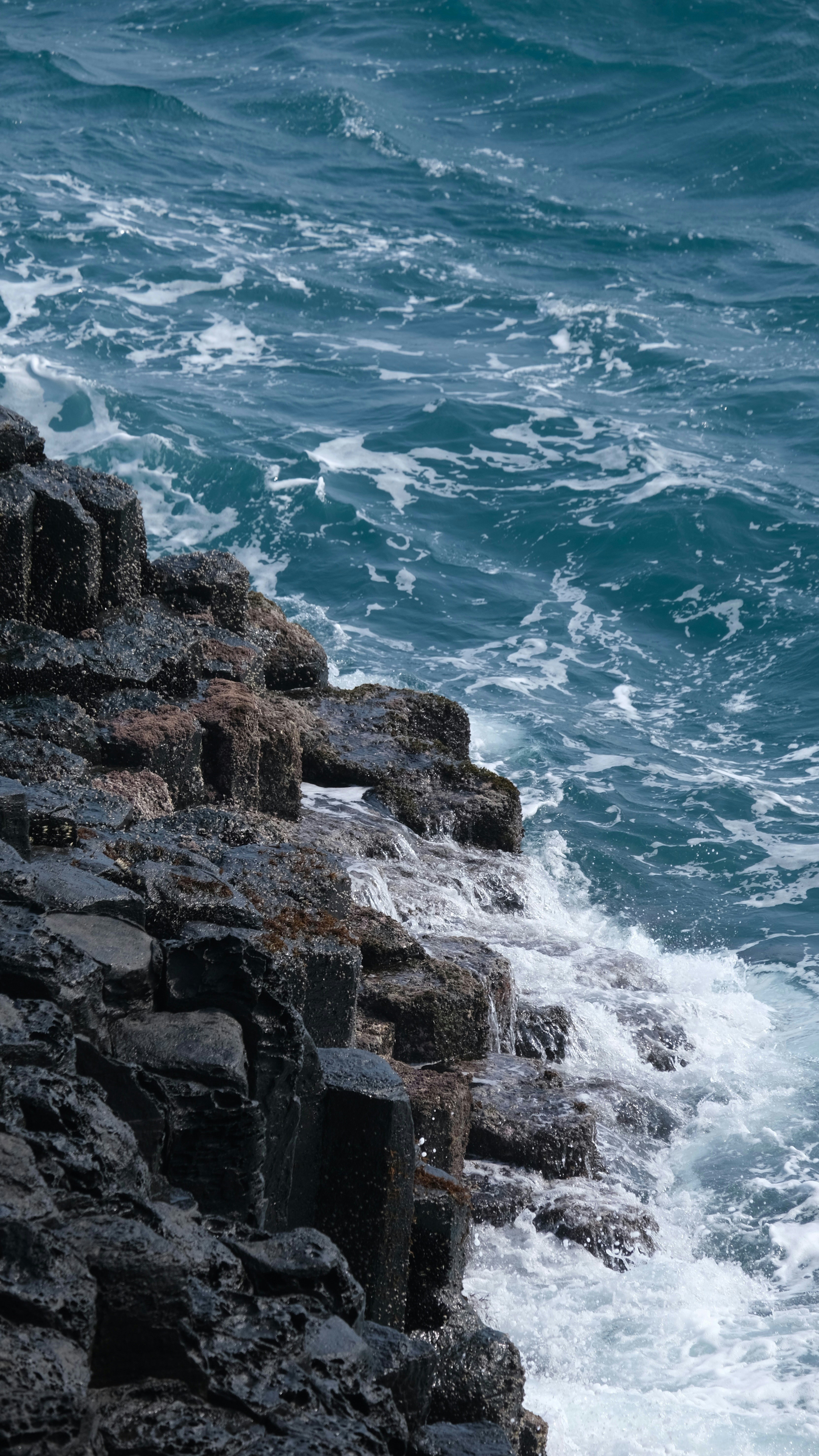 Photo by sinjintsang