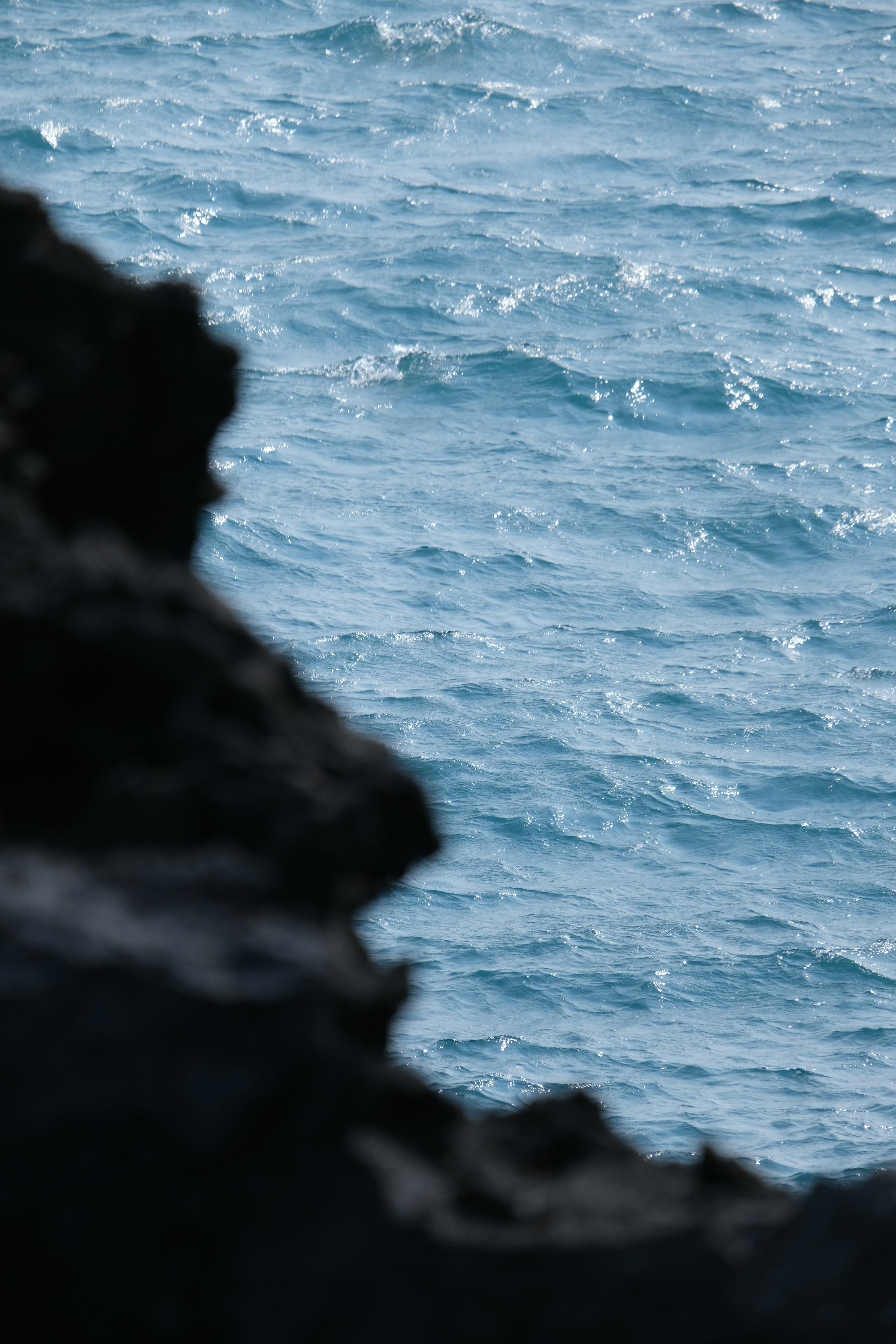 Photo by sinjintsang