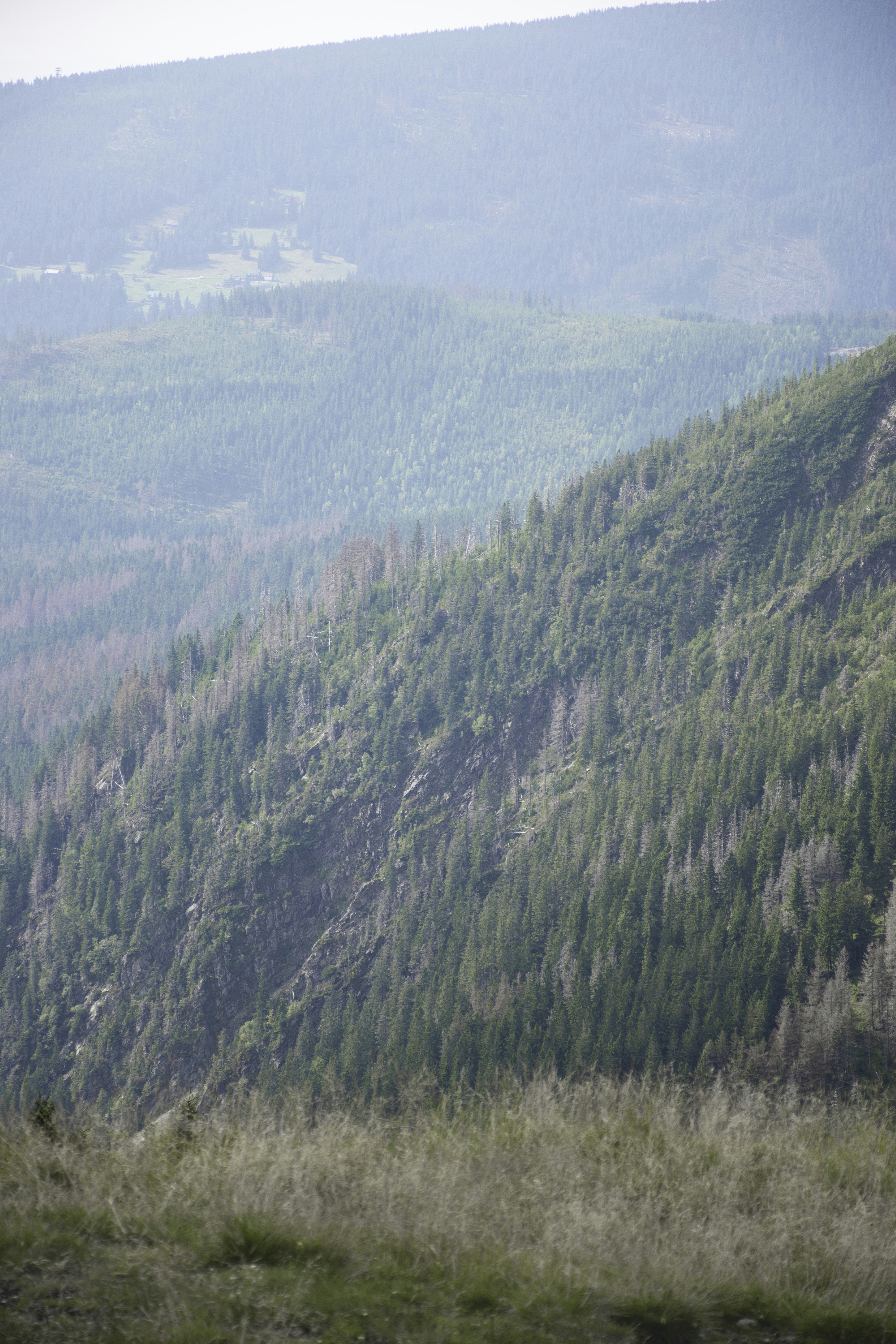 Photo by adam_skrinnikoff