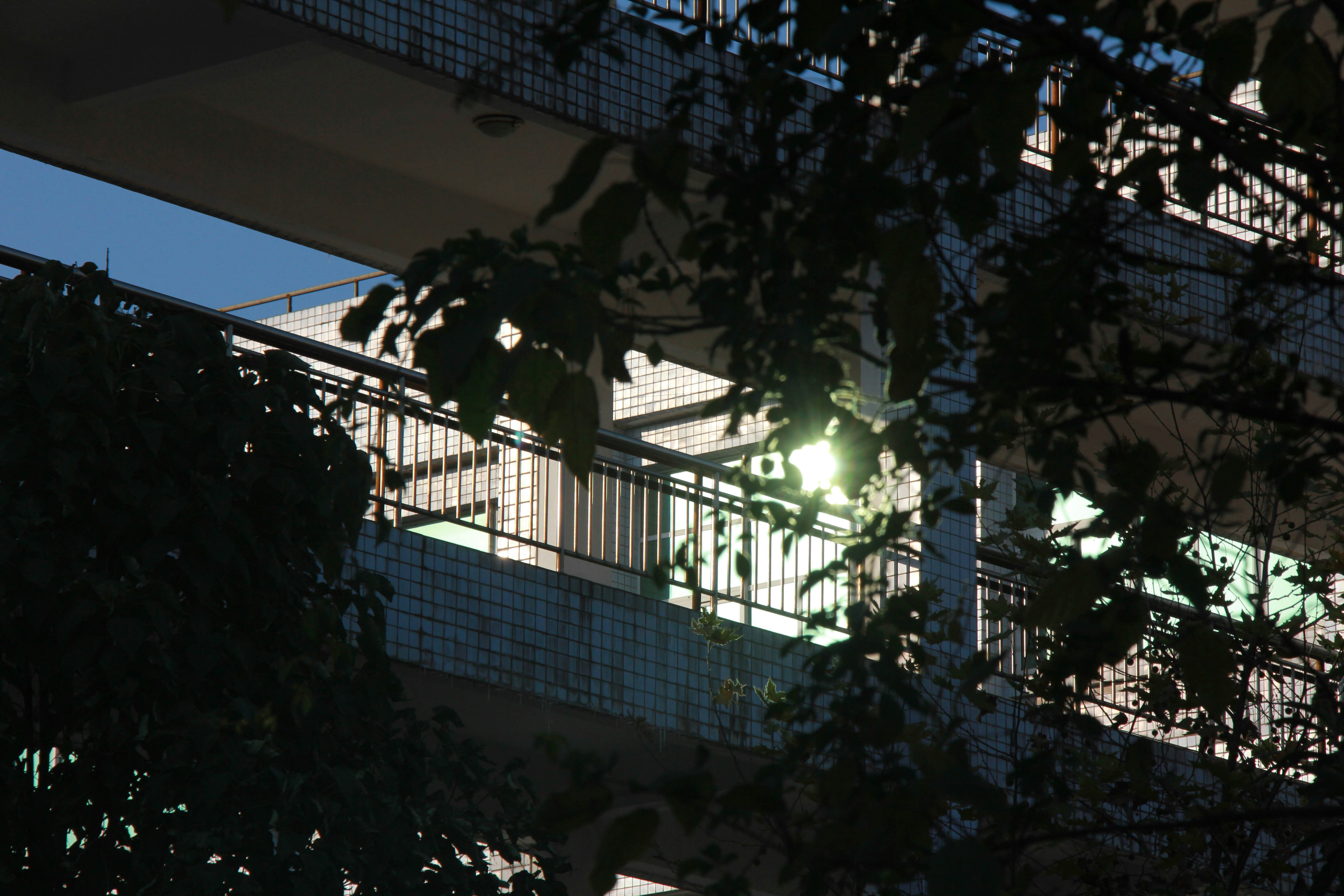 Photo by nefelibataniska