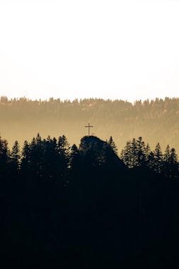 Cross on a rocky outcrop surrounded by trees