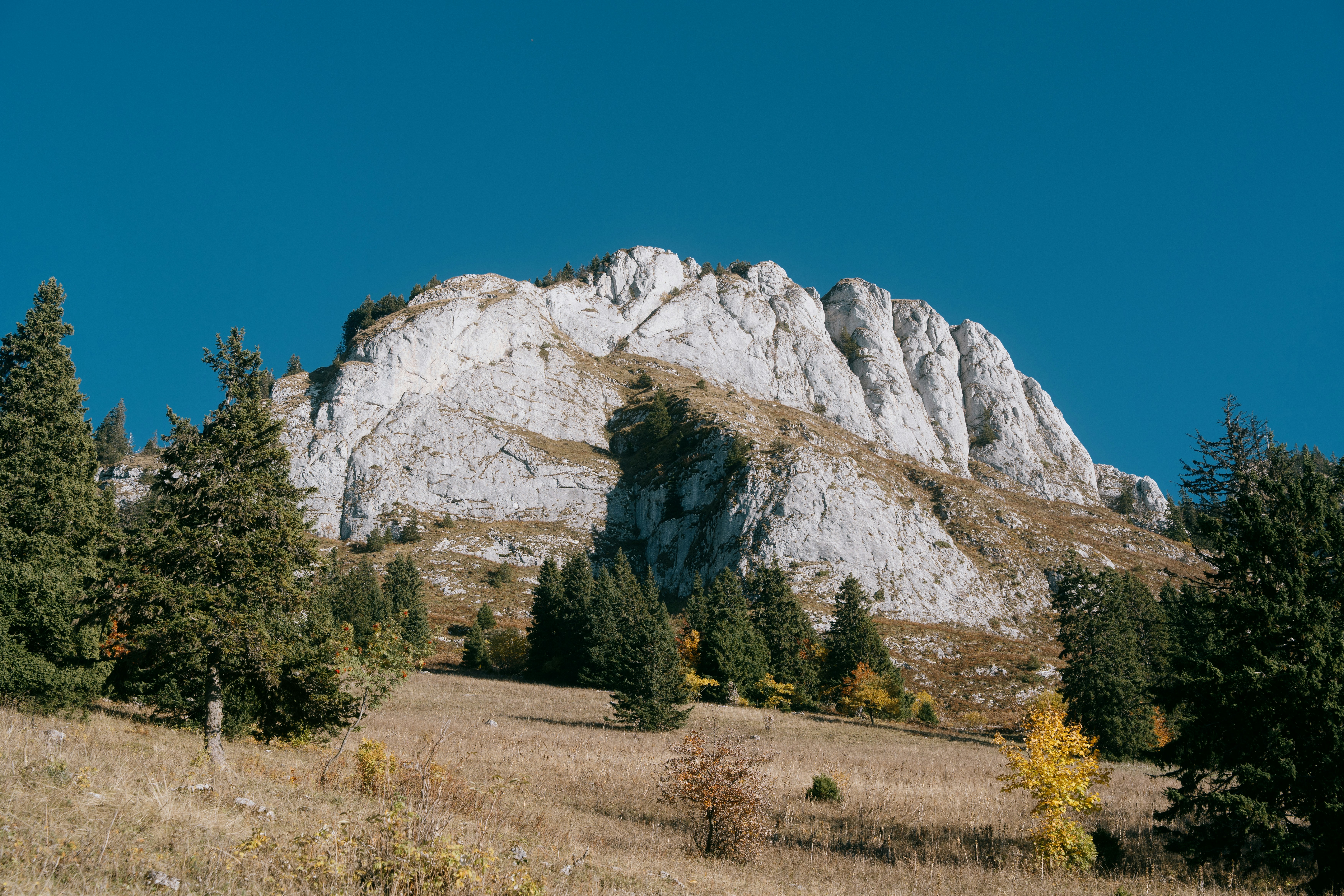 Rocky mountain peak with evergreen trees and autumn foliage.