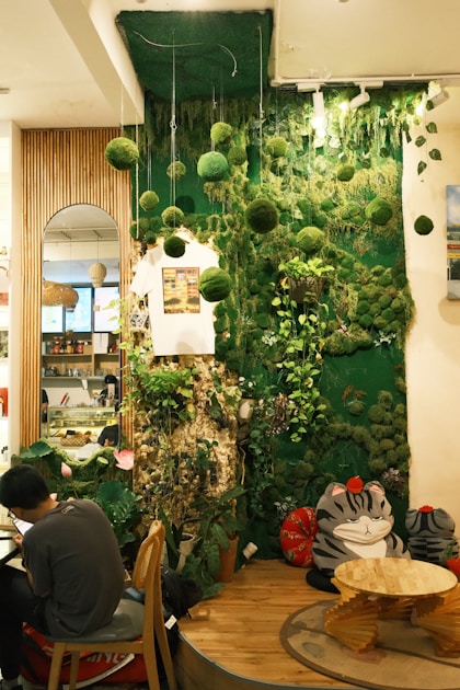 Hoya arten die 10 schoensten wachsblumen fuer sammler — detailed close-up view