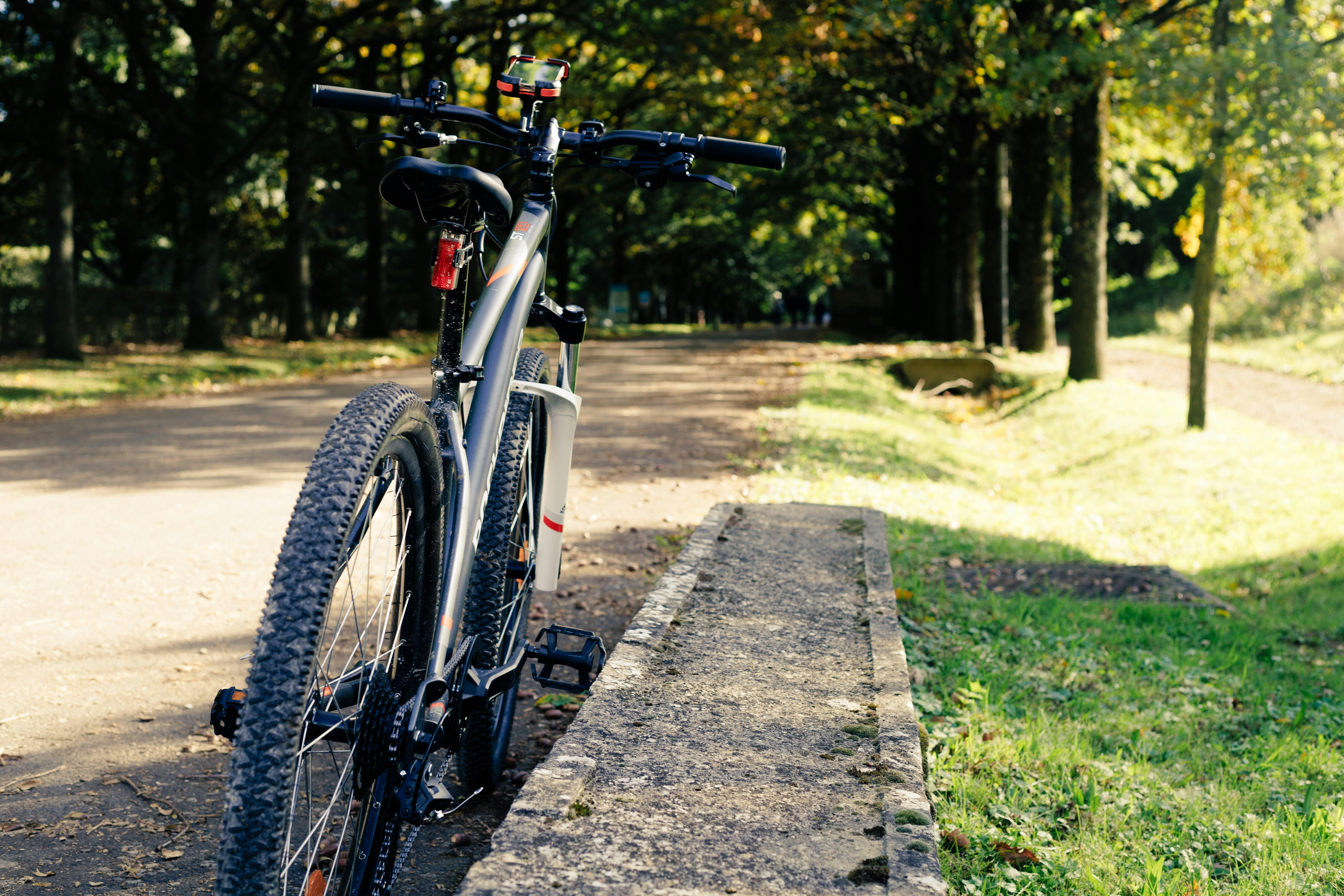 A bicycle parked on a path in a park.