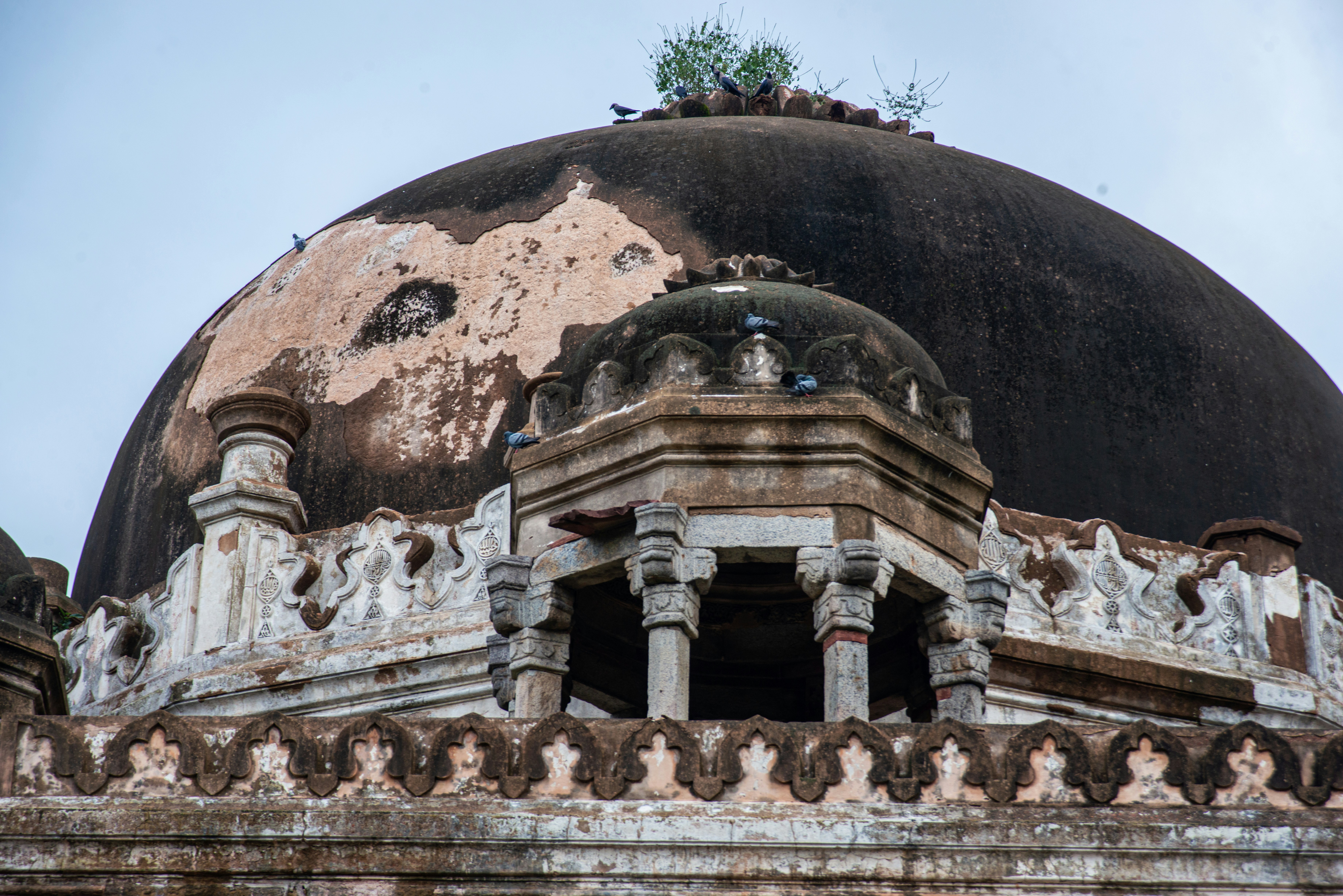 Photo by zoshuacolah