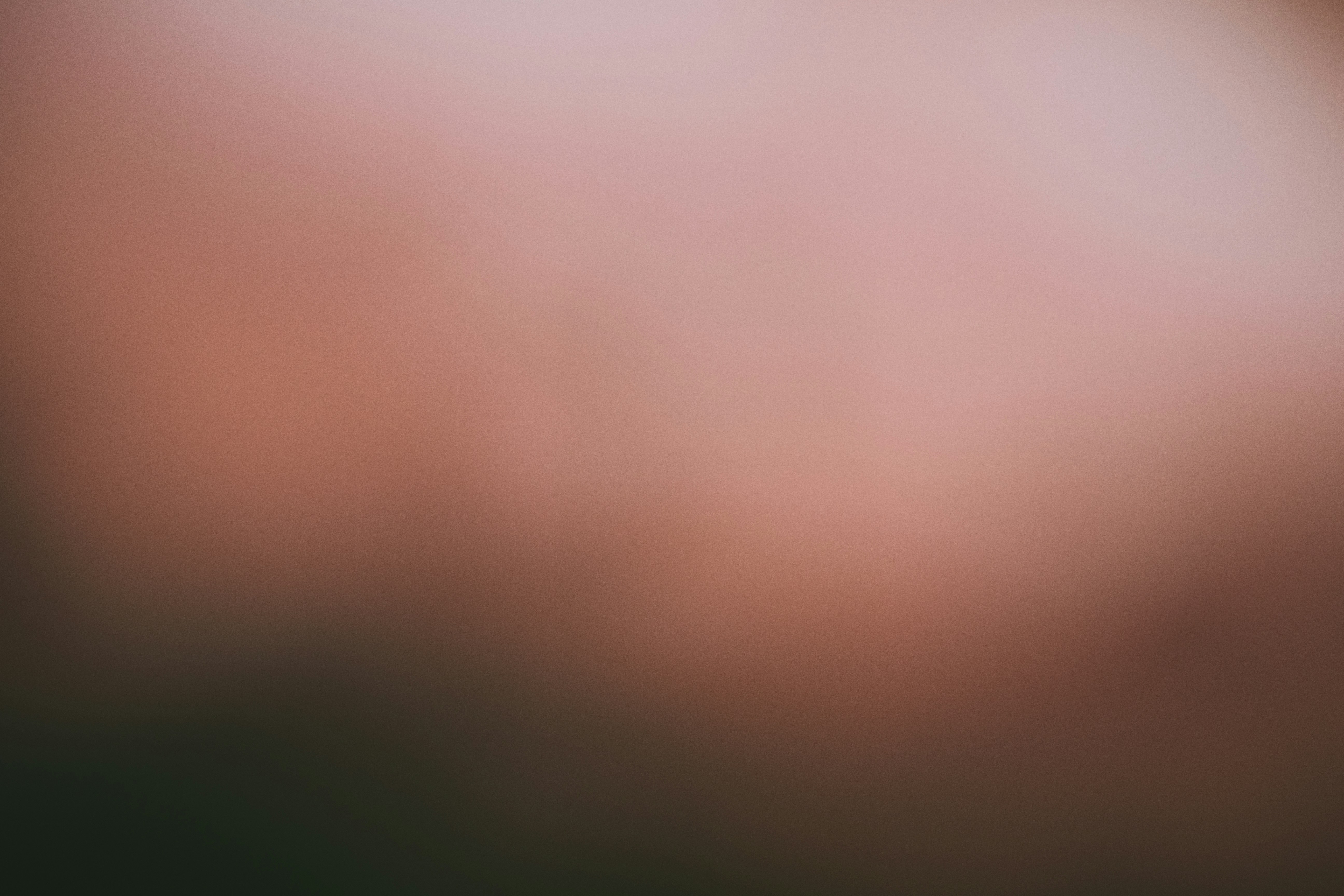 Photo by philipphubert