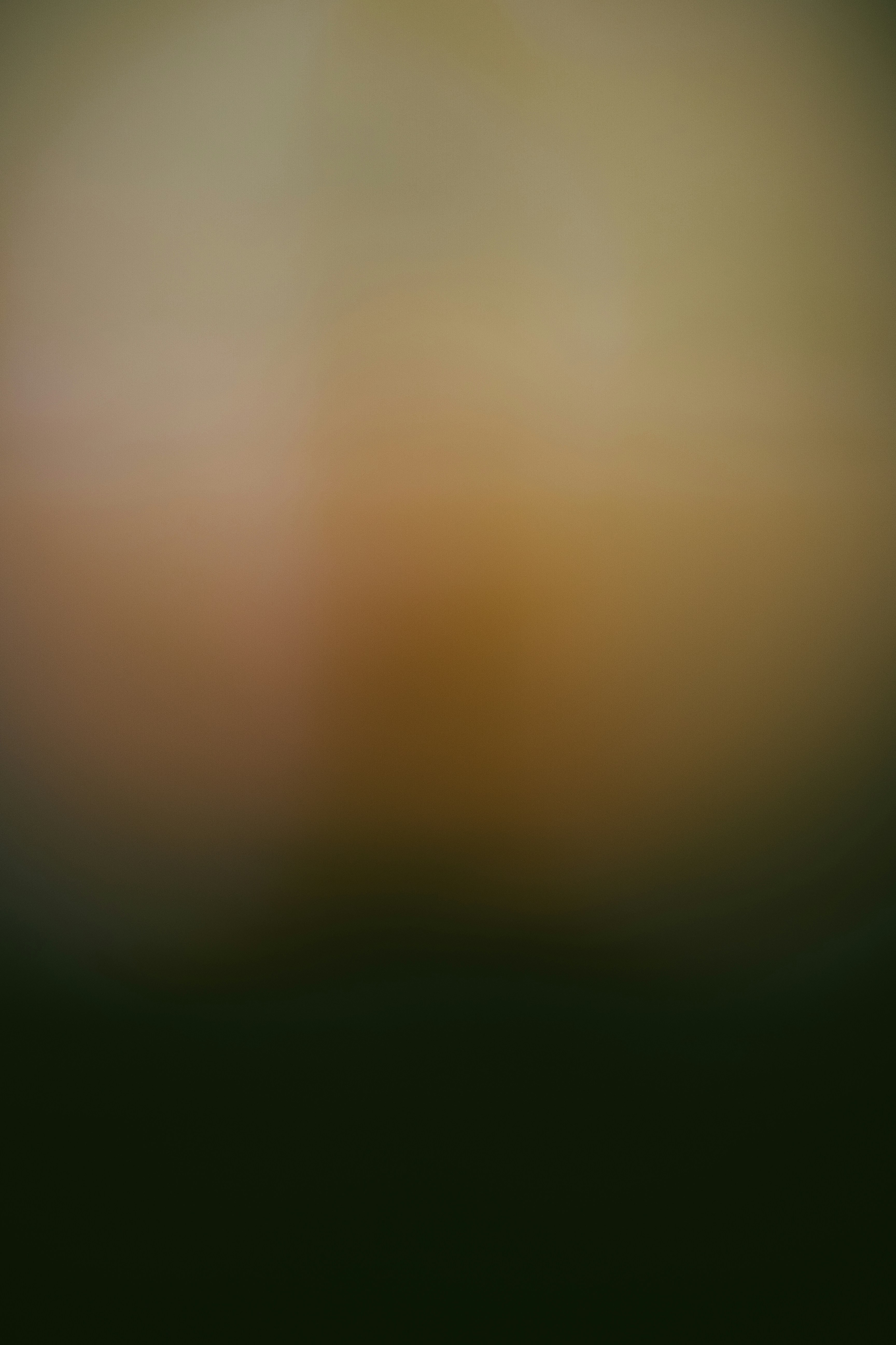 Photo by philipphubert