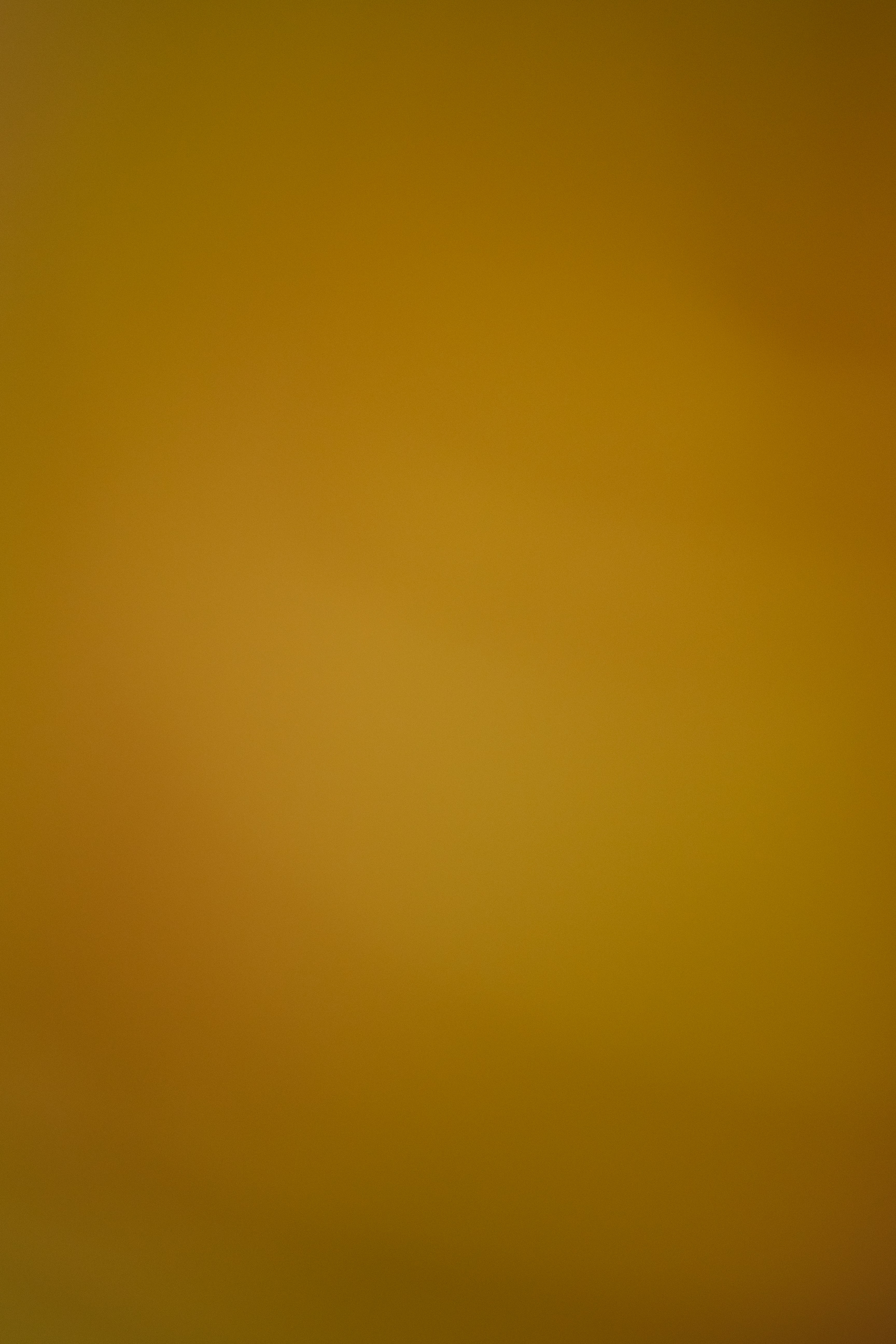 Ein verschwommener Hintergrund aus warmen Orange- und Gelbtönen.