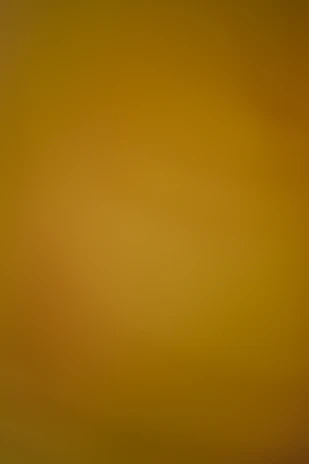 A blurred background of warm orange and yellow tones.