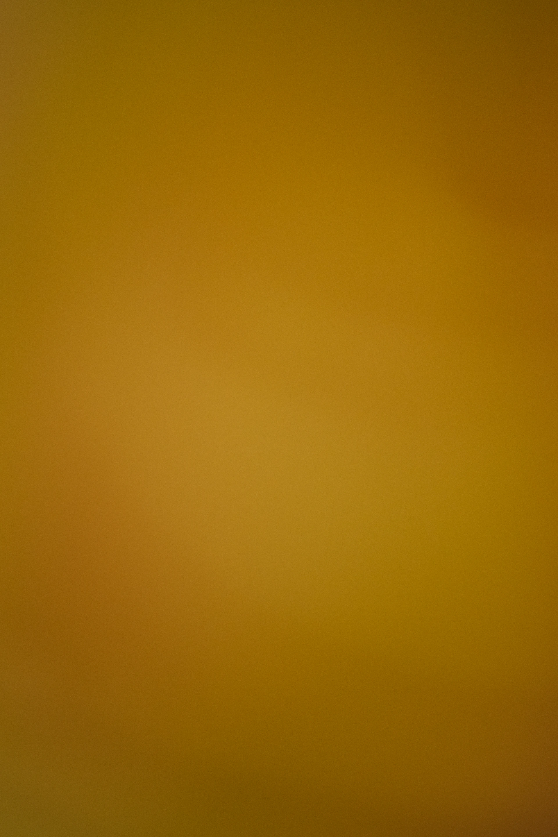 A blurred background of warm orange and yellow tones.