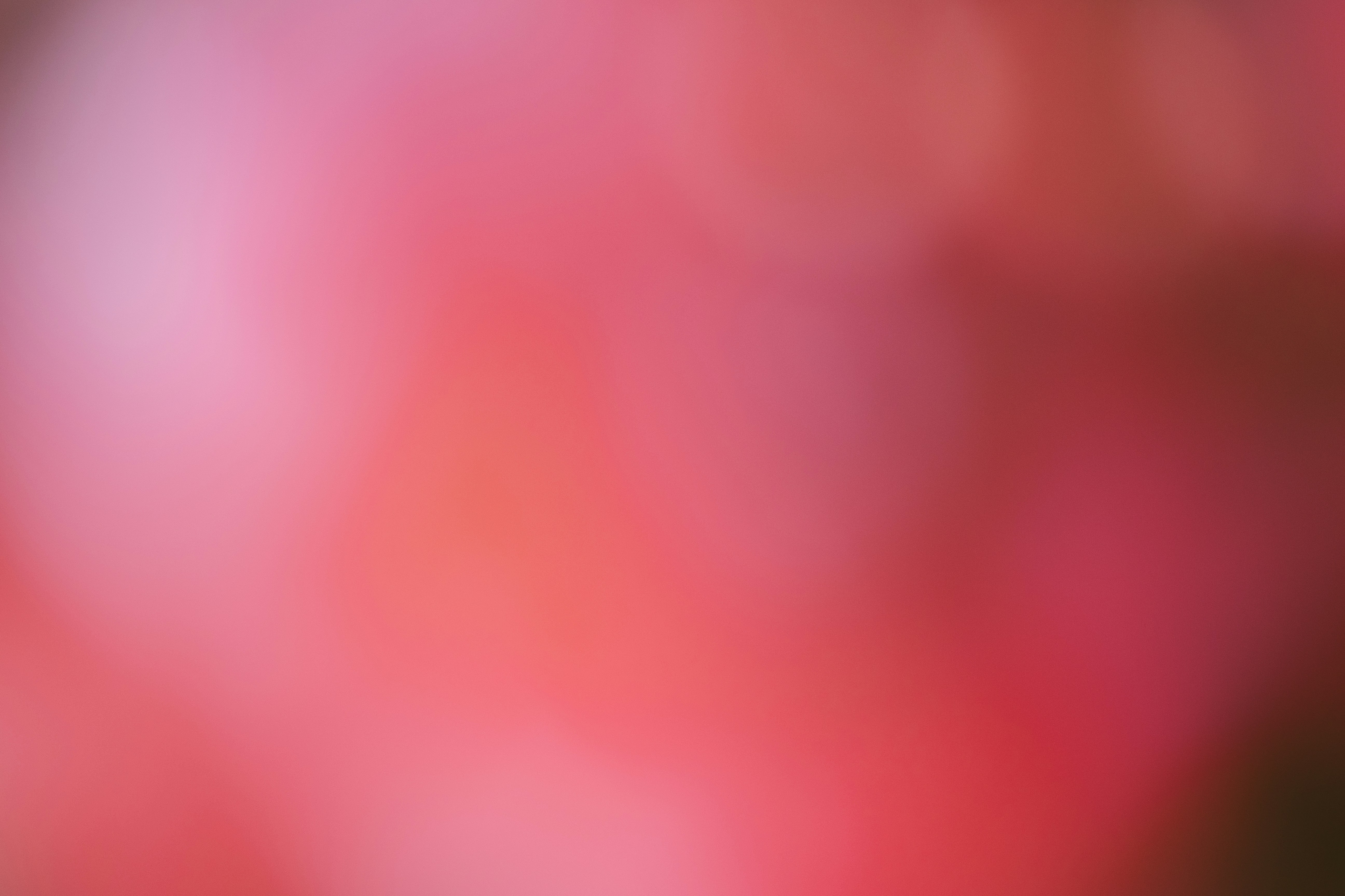 Photo by philipphubert