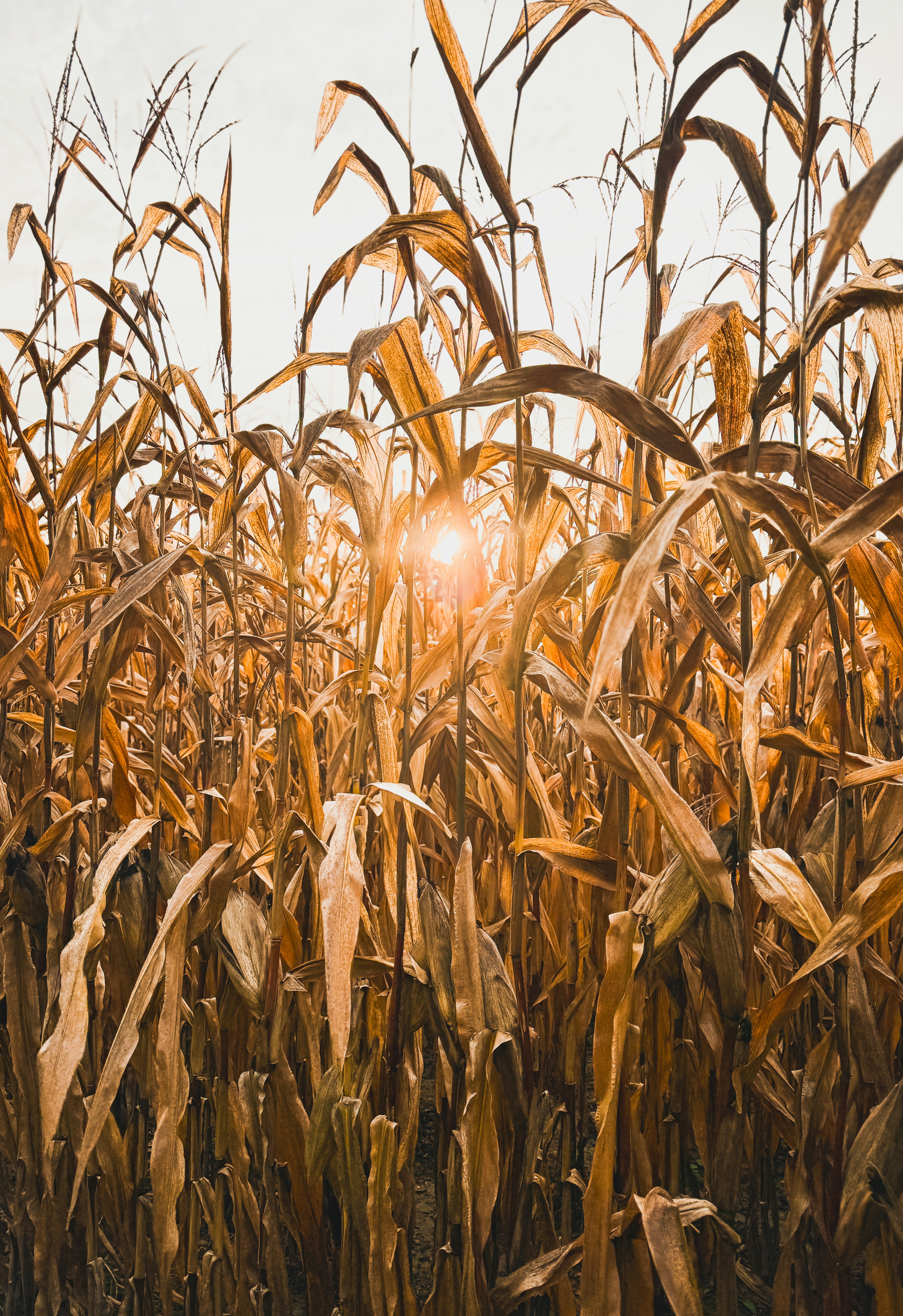 Photo by kevinbessat