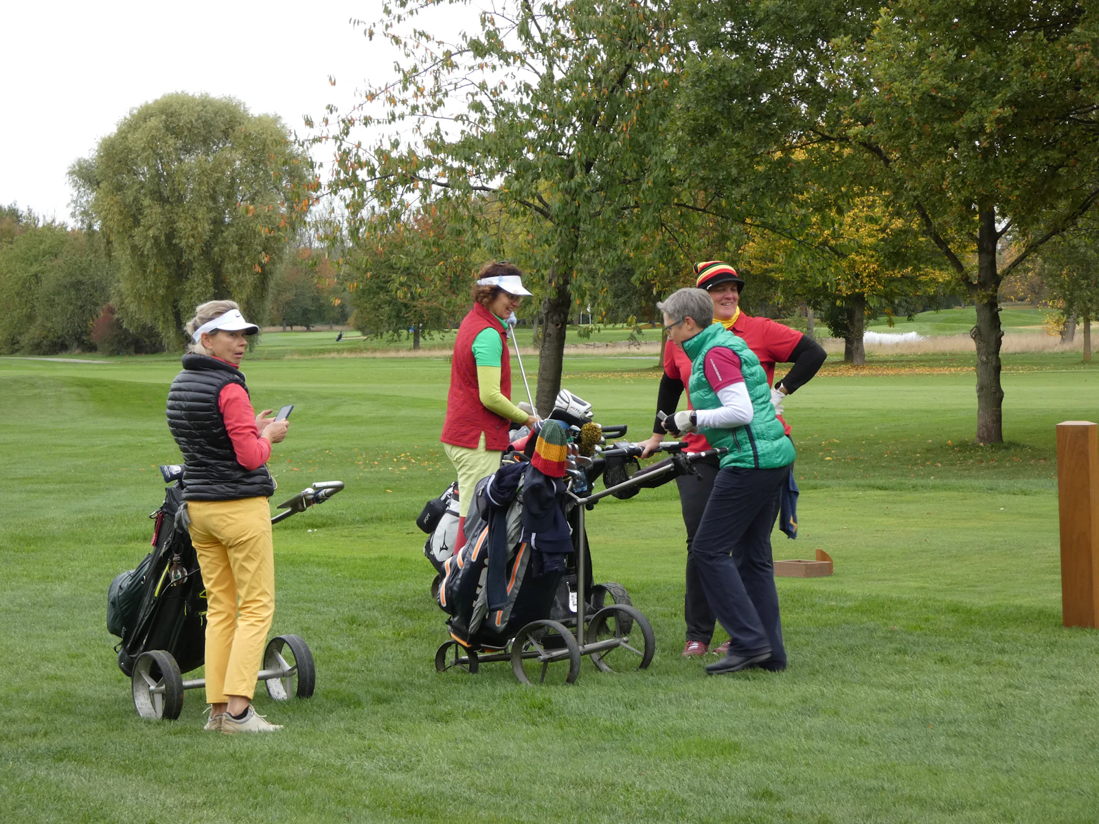 Members chatting beside their golf bags on the fairway