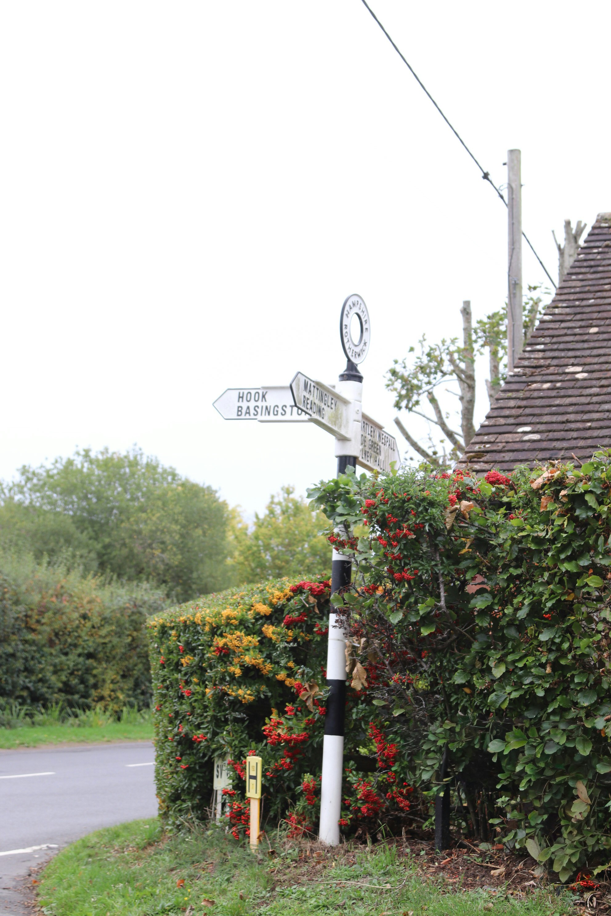 Photo by tanyabarrow