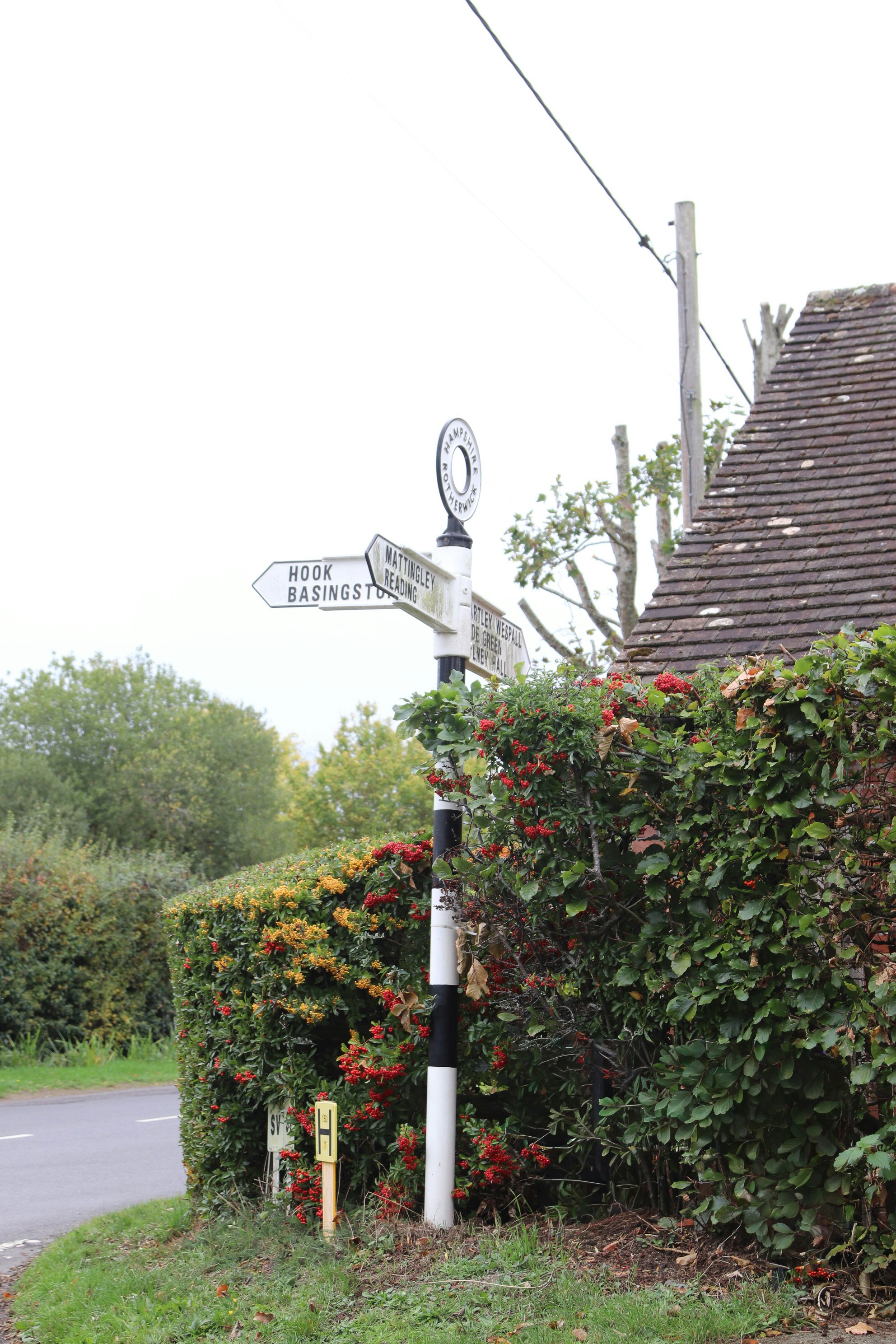 Photo by tanyabarrow