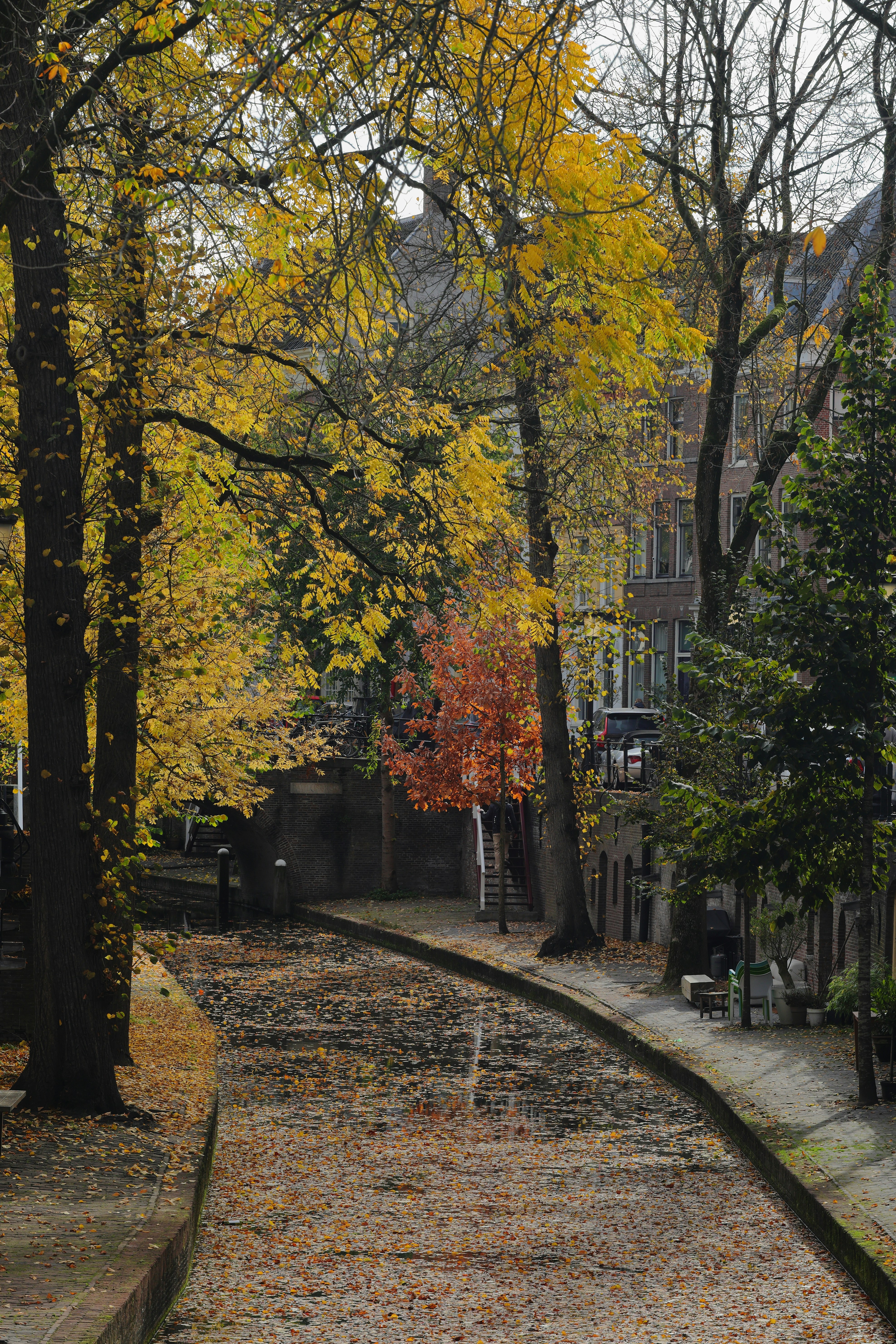 Autumn trees line a cobblestone path along a canal.