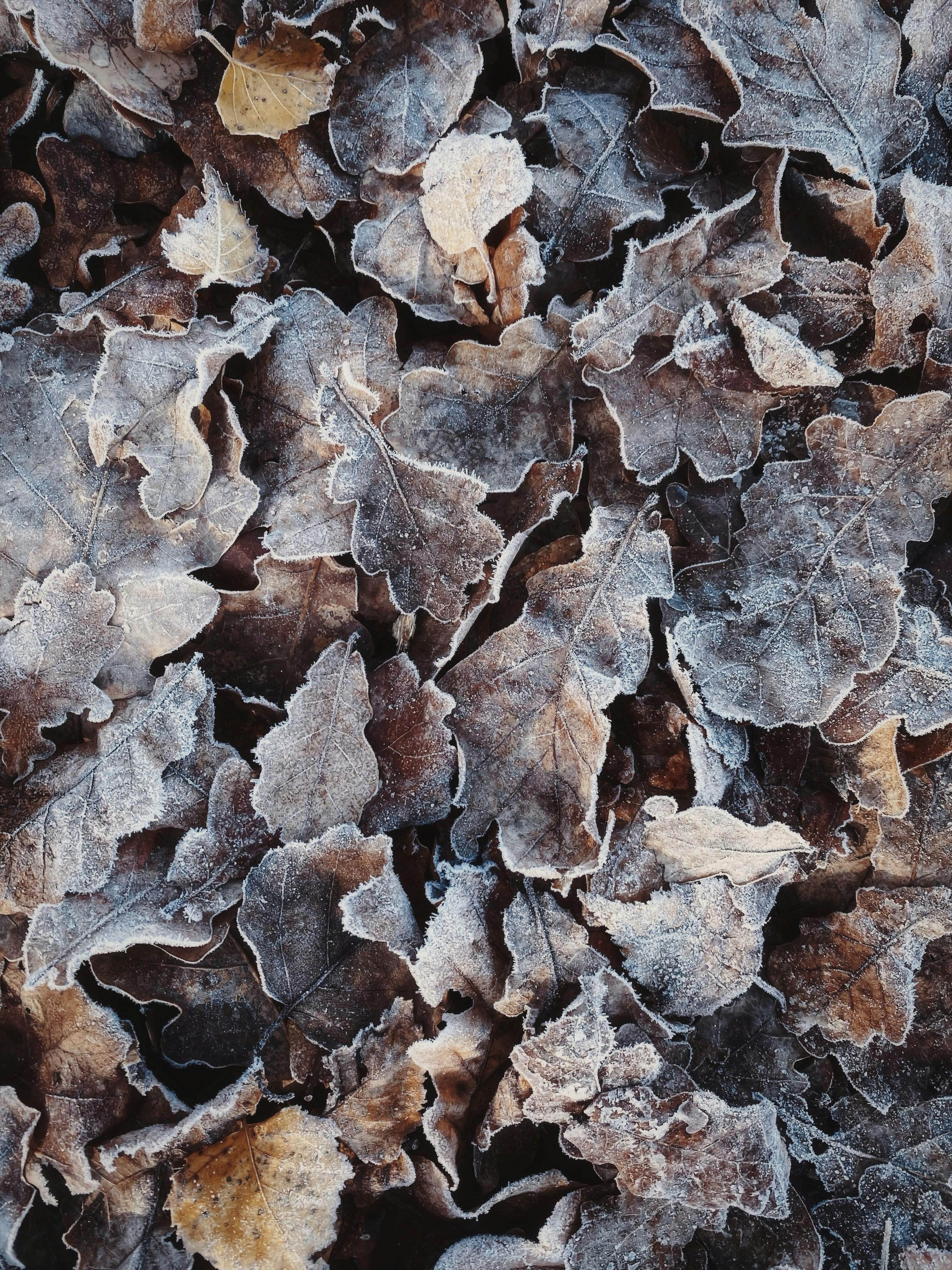 Photo by eugene_golovesov