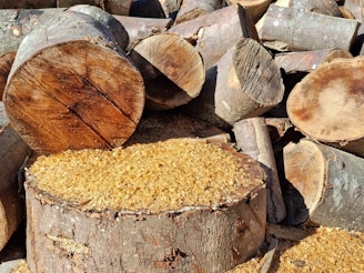 Pile of cut logs and sawdust
