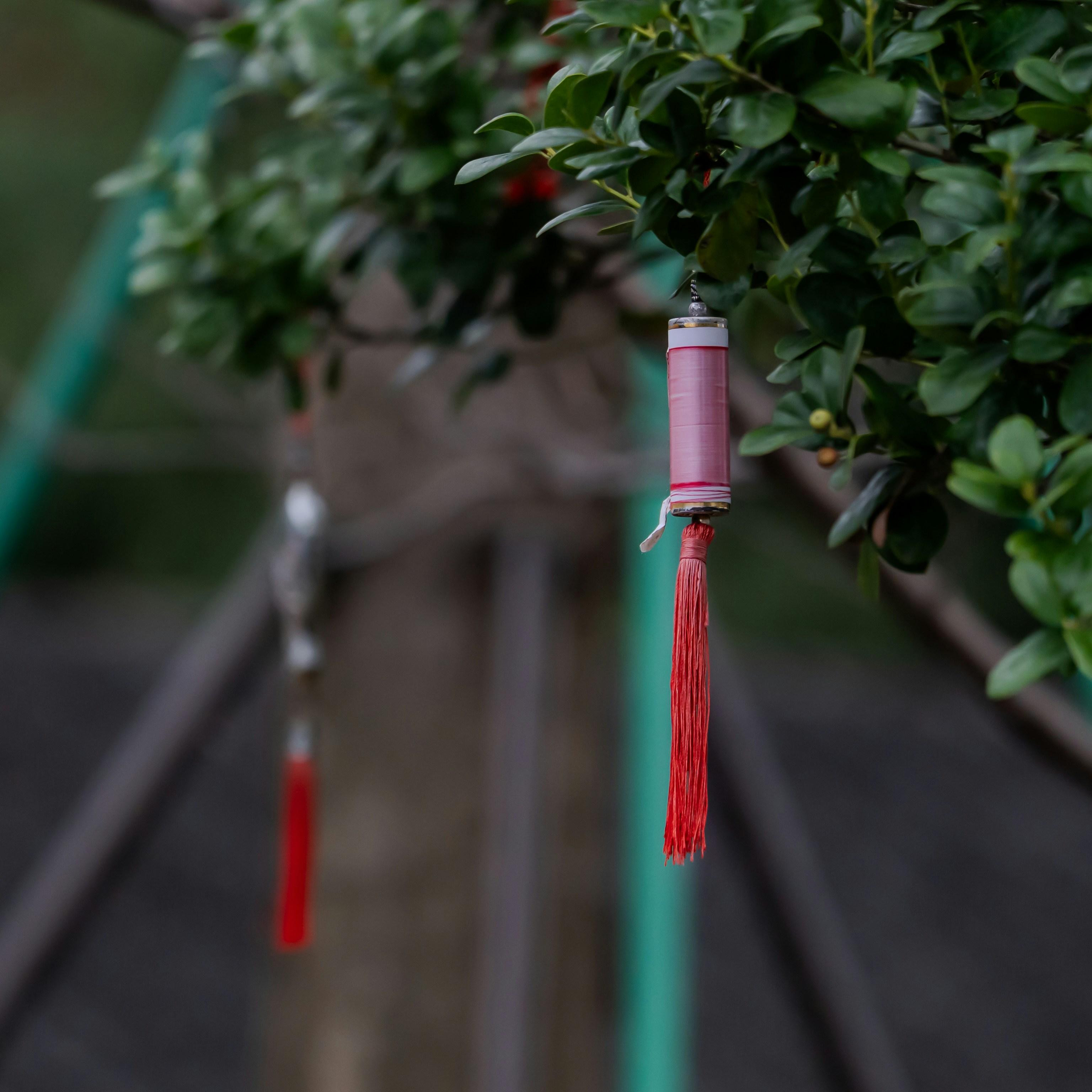 Pink lantern with red tassel hanging from tree