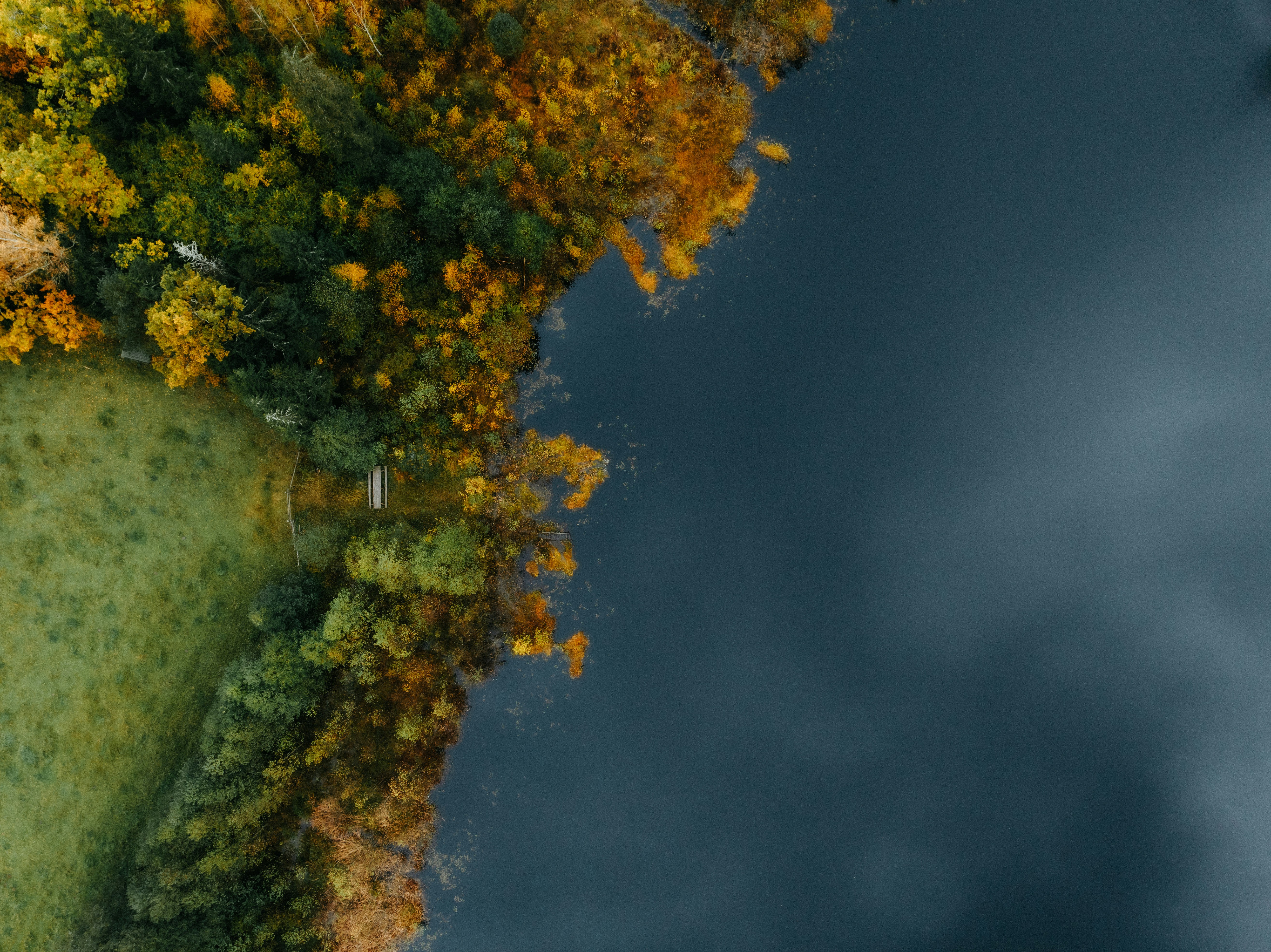 Photo by kristapsungurs