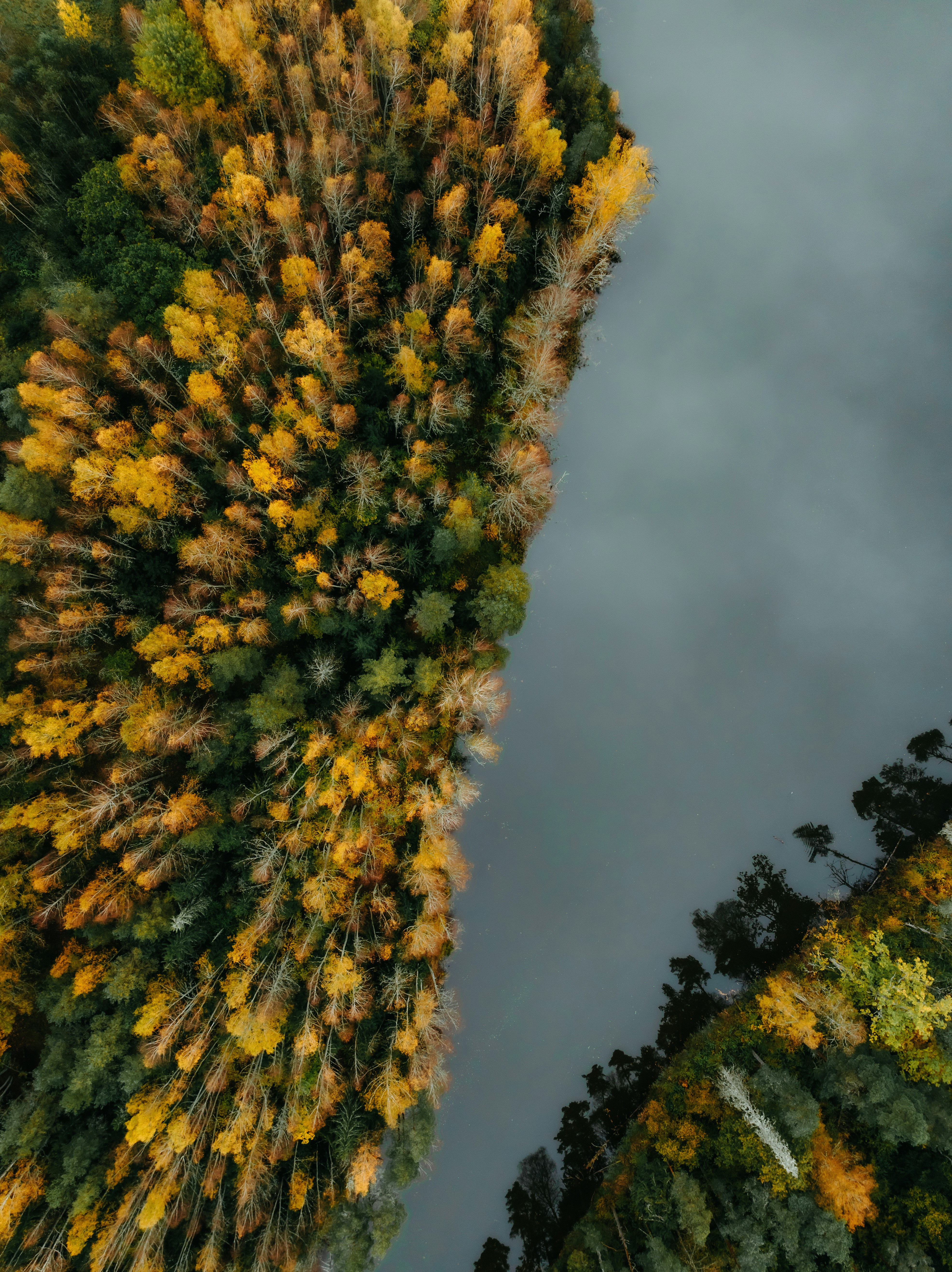 Photo by kristapsungurs