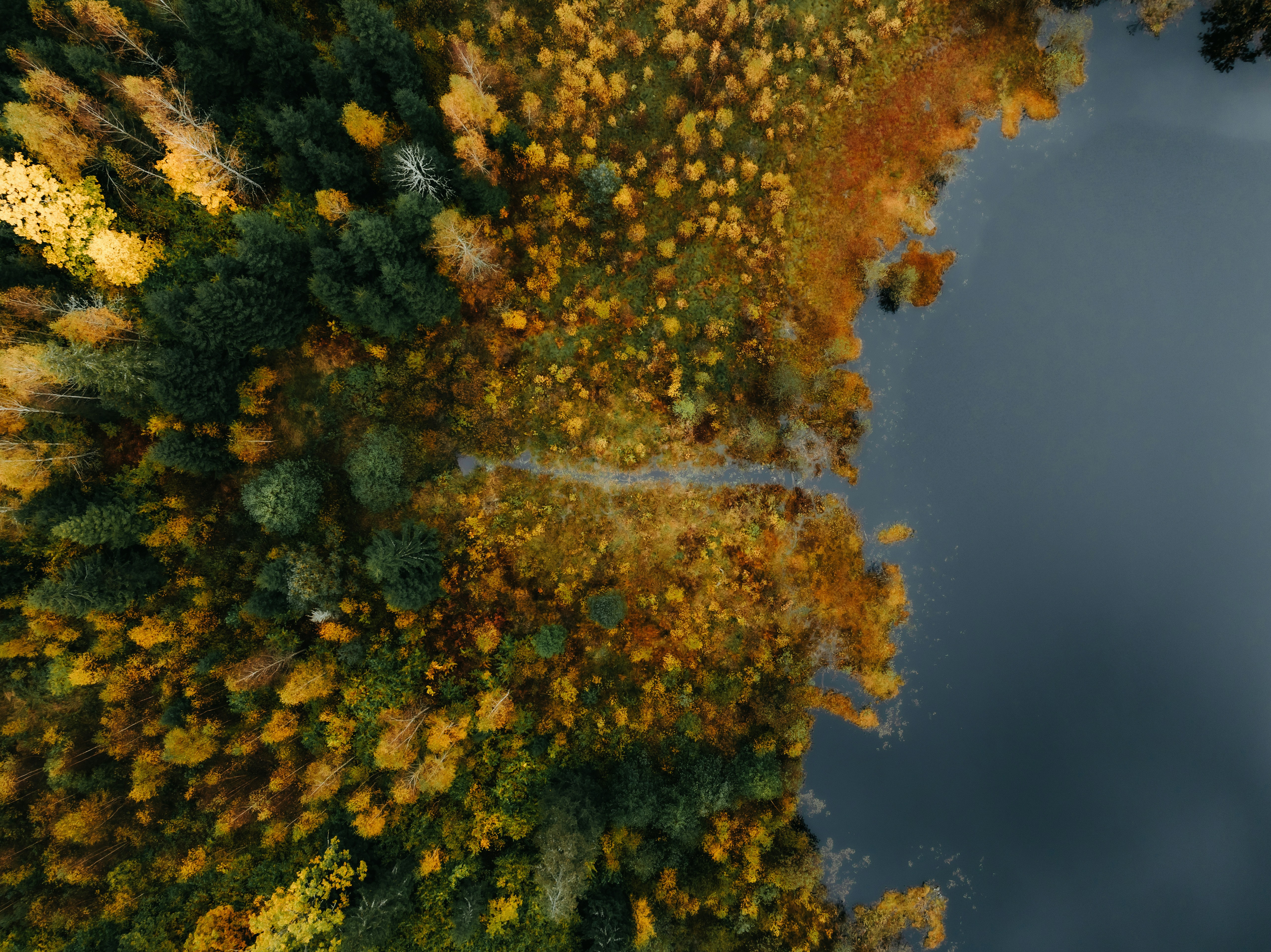 Photo by kristapsungurs