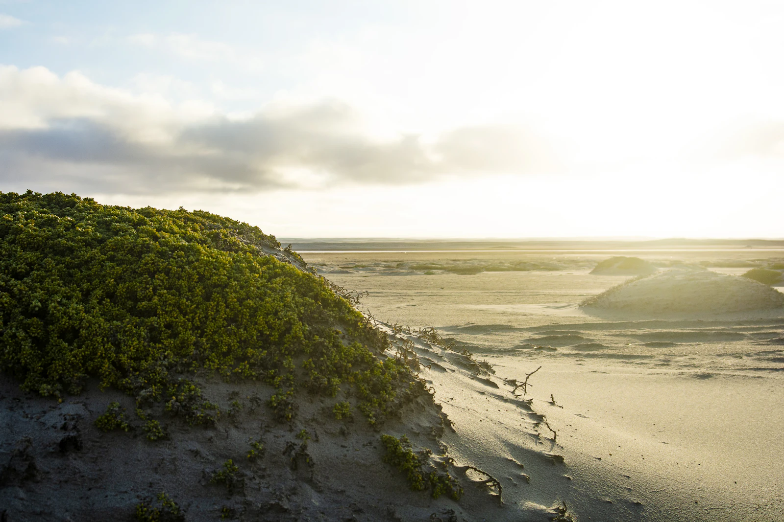 The Ritz-Carlton, Amelia Island