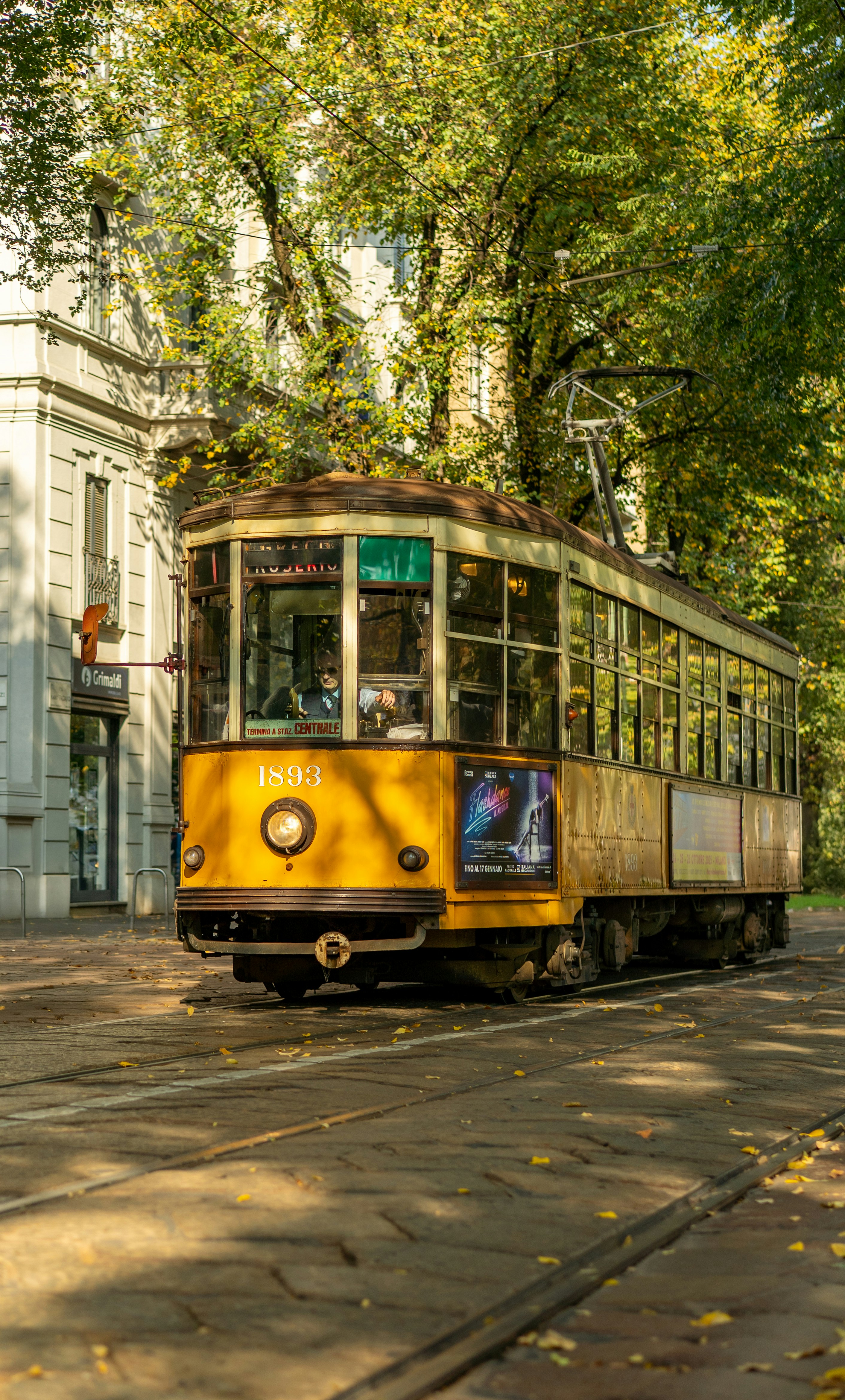 빈티지 노란색 트램이 나무가 늘어선 선로를 달립니다.