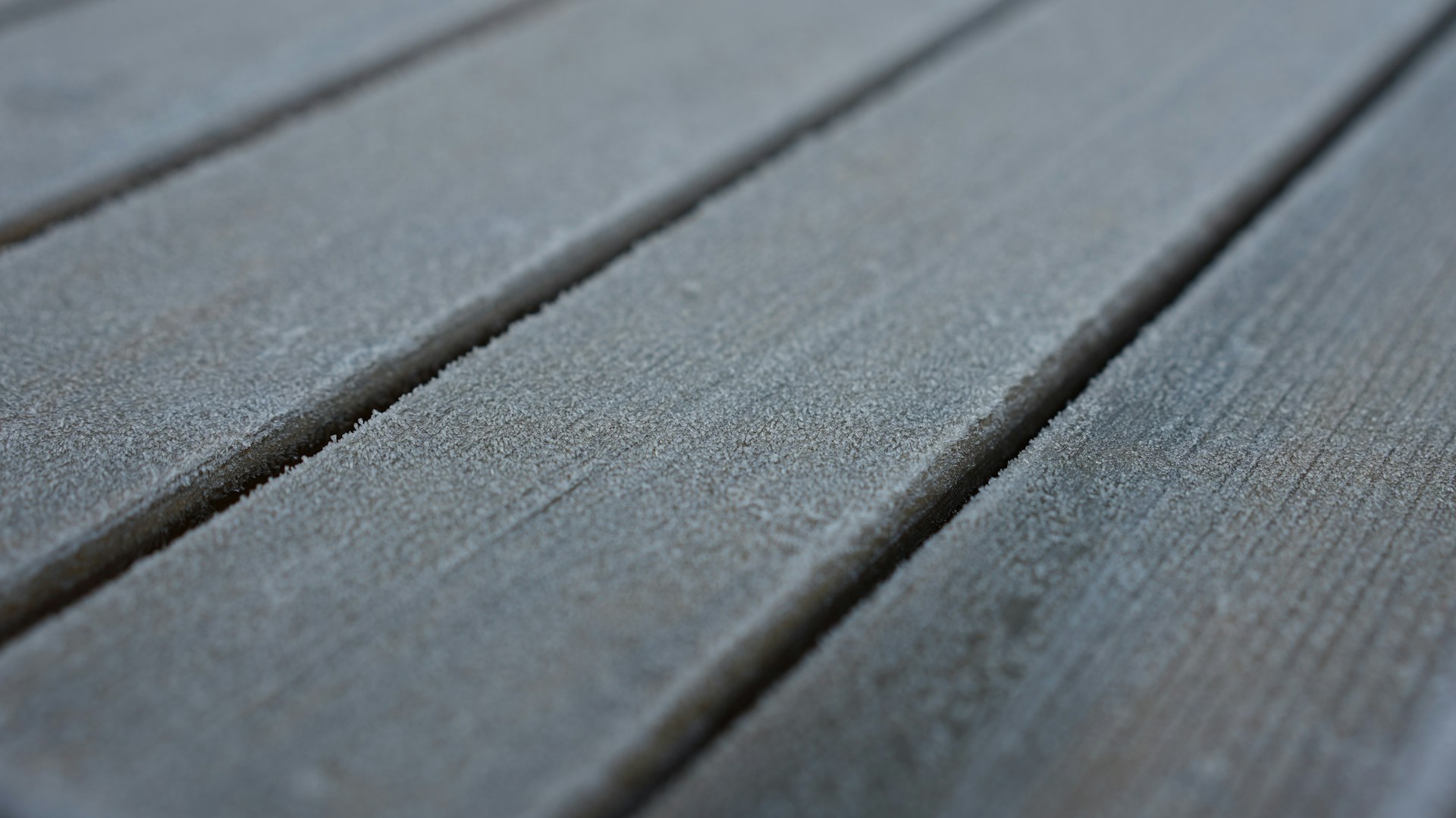Wooden planks covered in frost