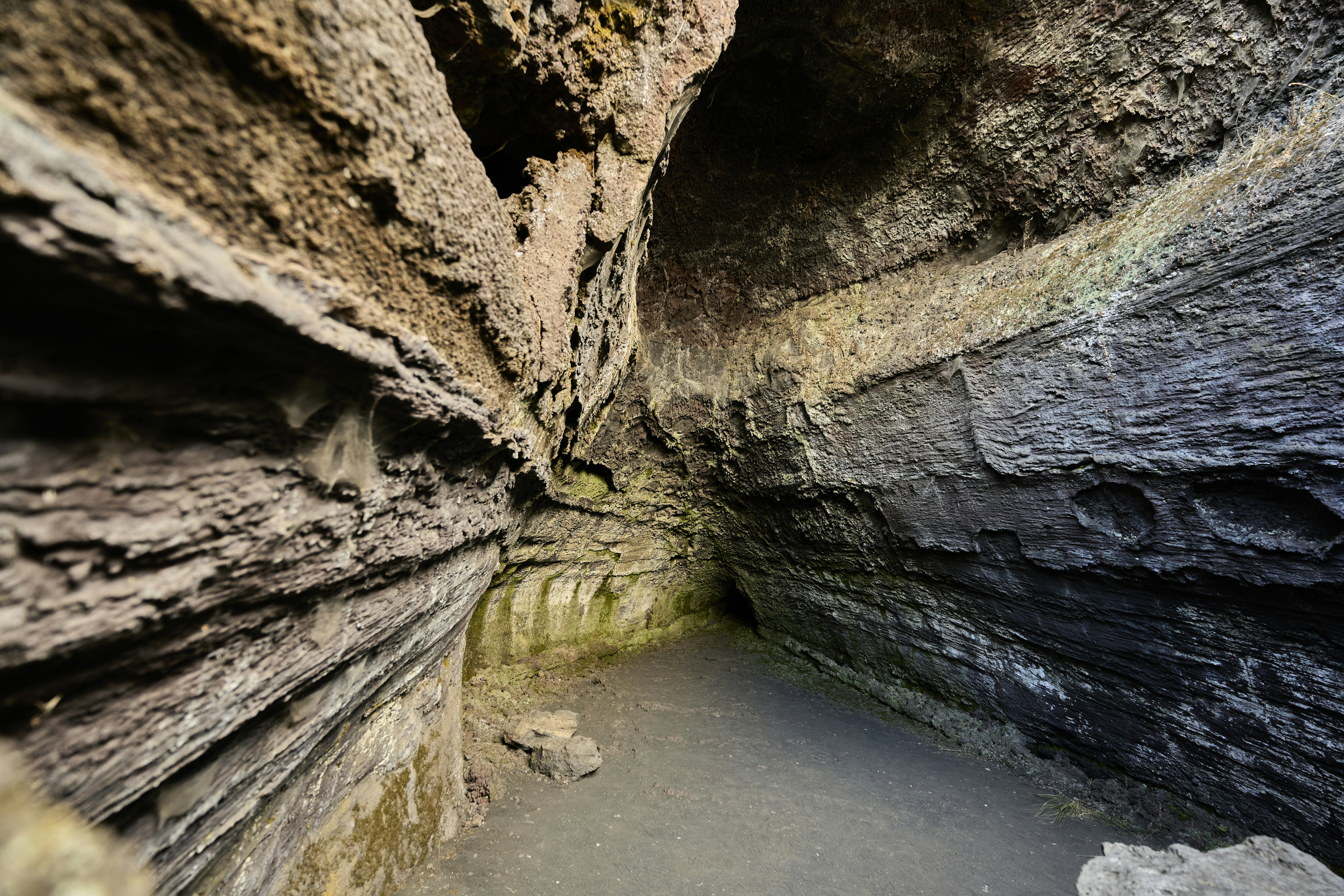 Photo by wolfgang_hasselmann