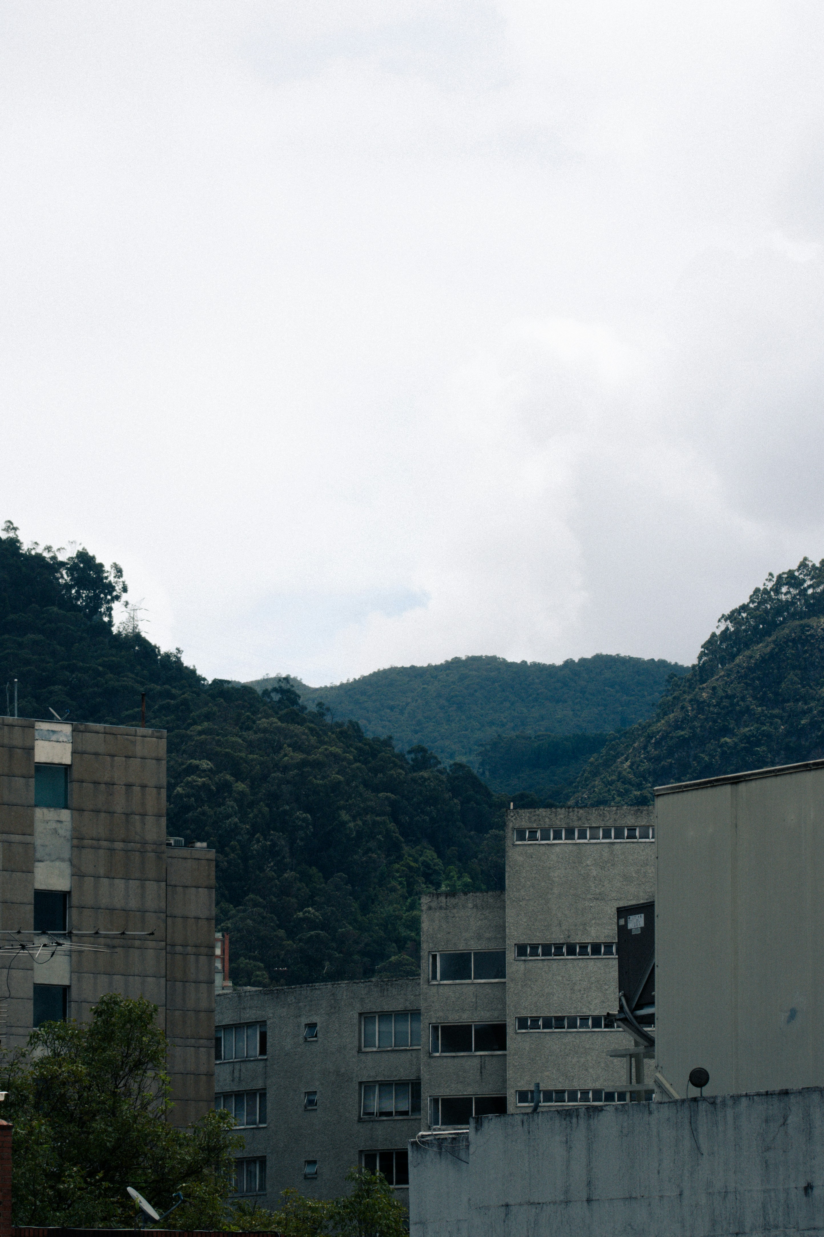 Photo by sebaslaverde_nkn
