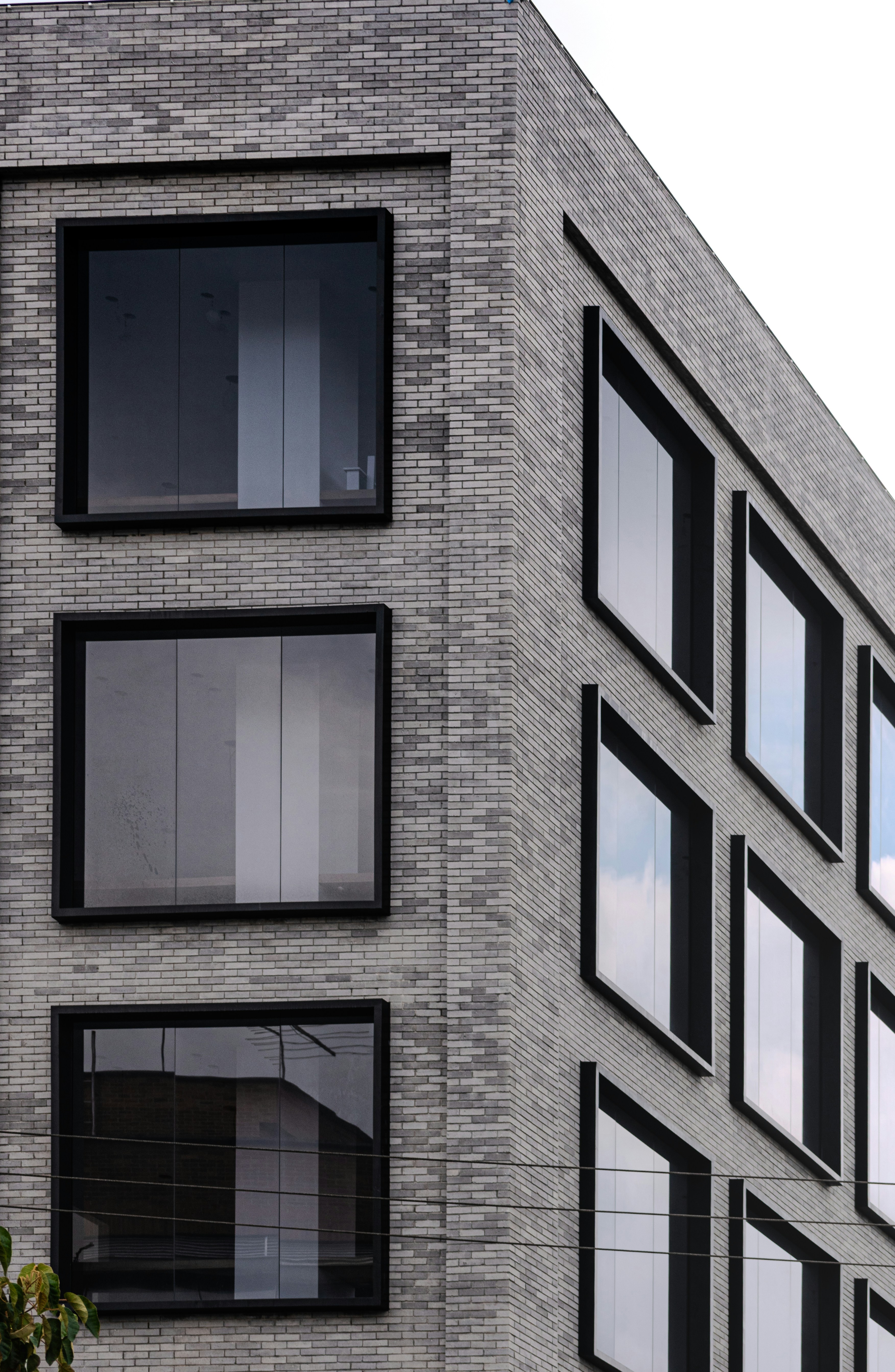 Photo by sebaslaverde_nkn