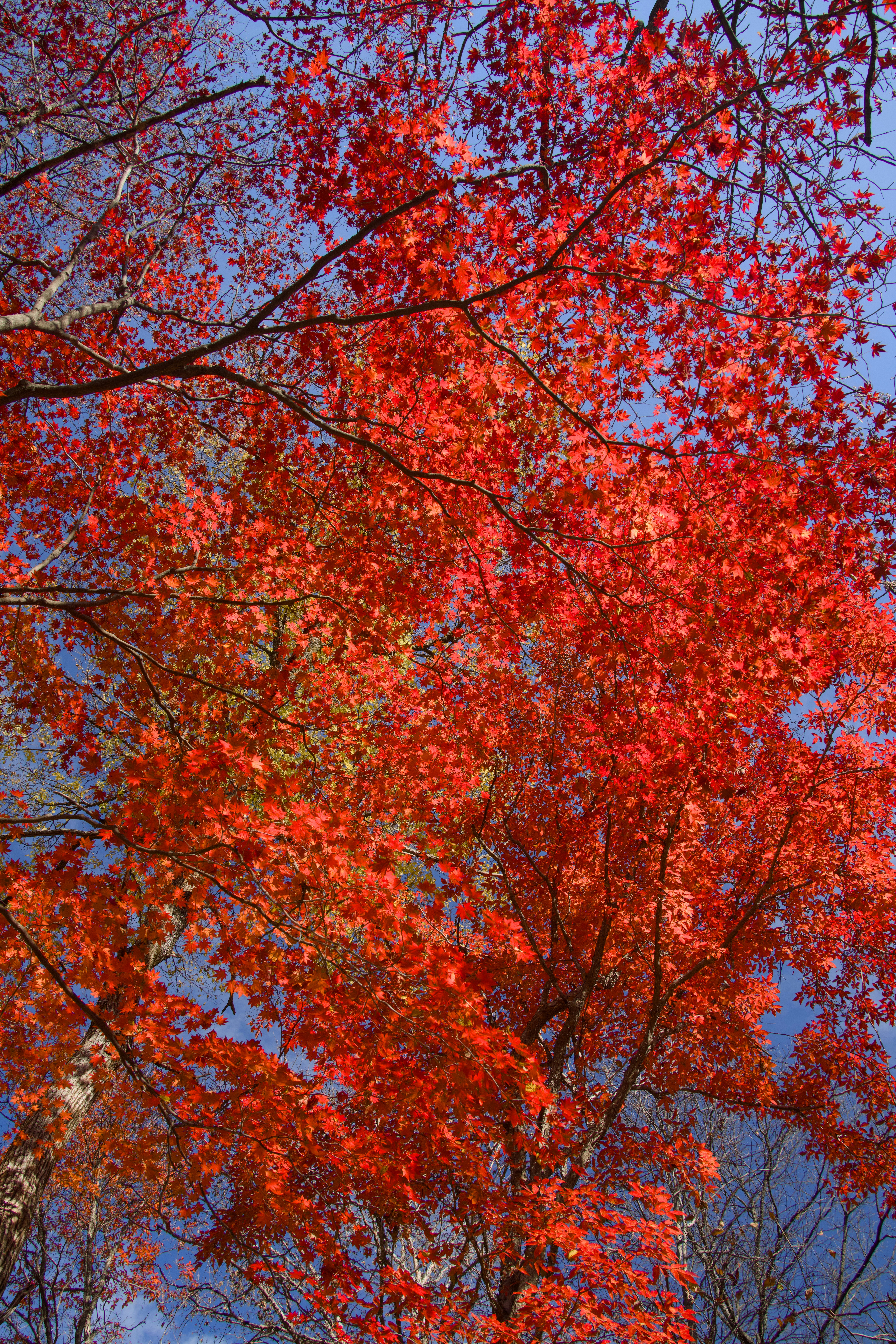 Photo by hattrick1996