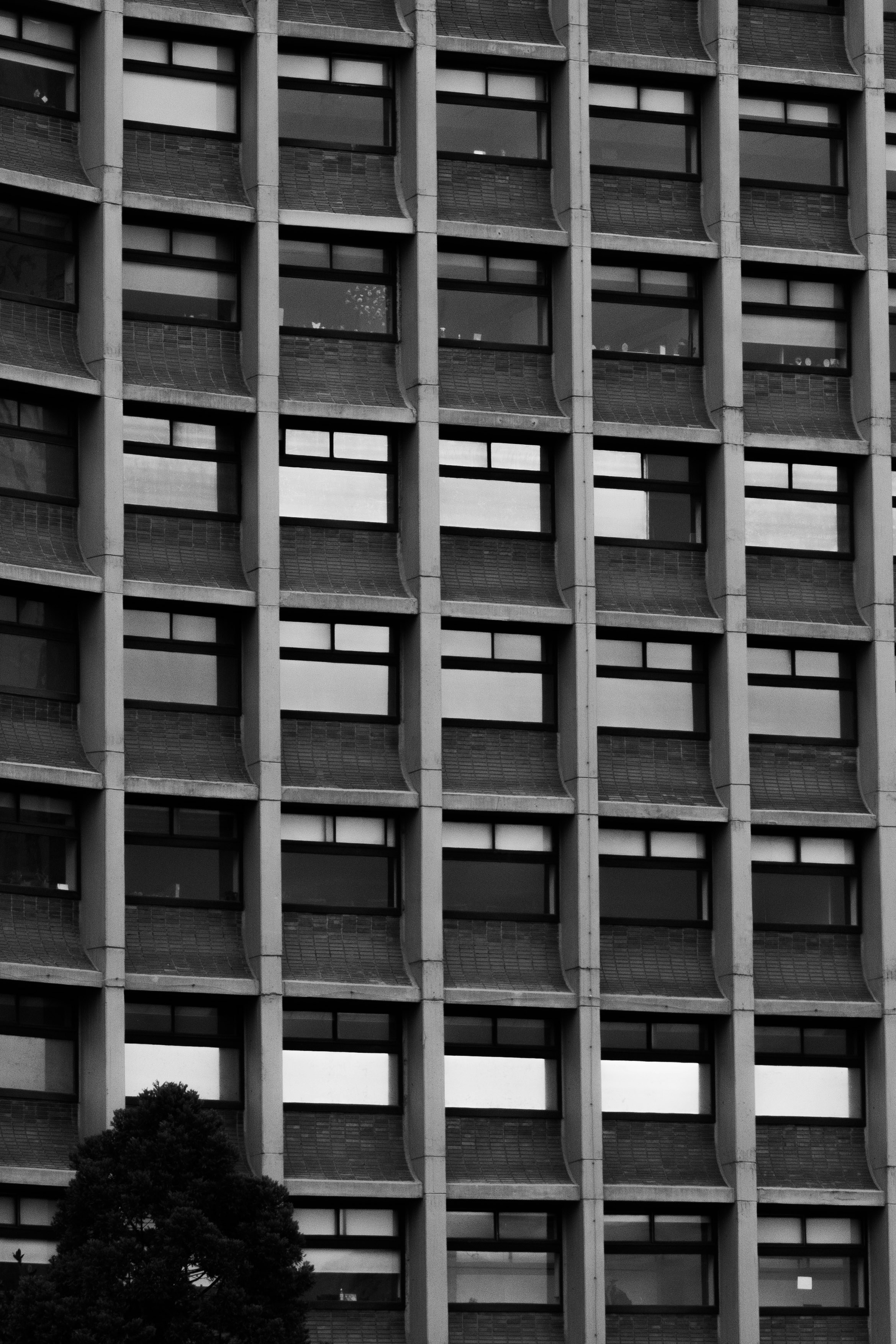 Photo by sebaslaverde_nkn