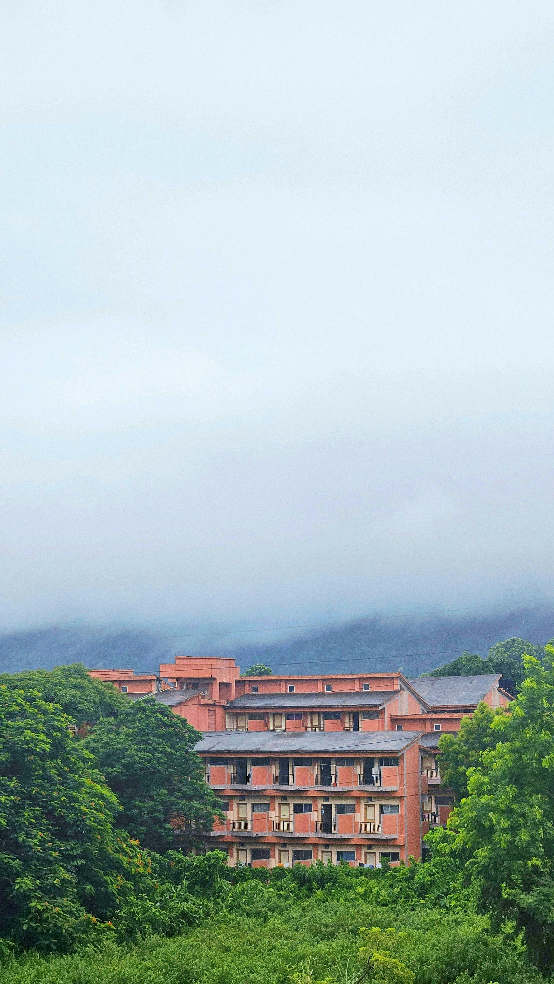 Antico edificio circondato da alberi verdi e nebbia.